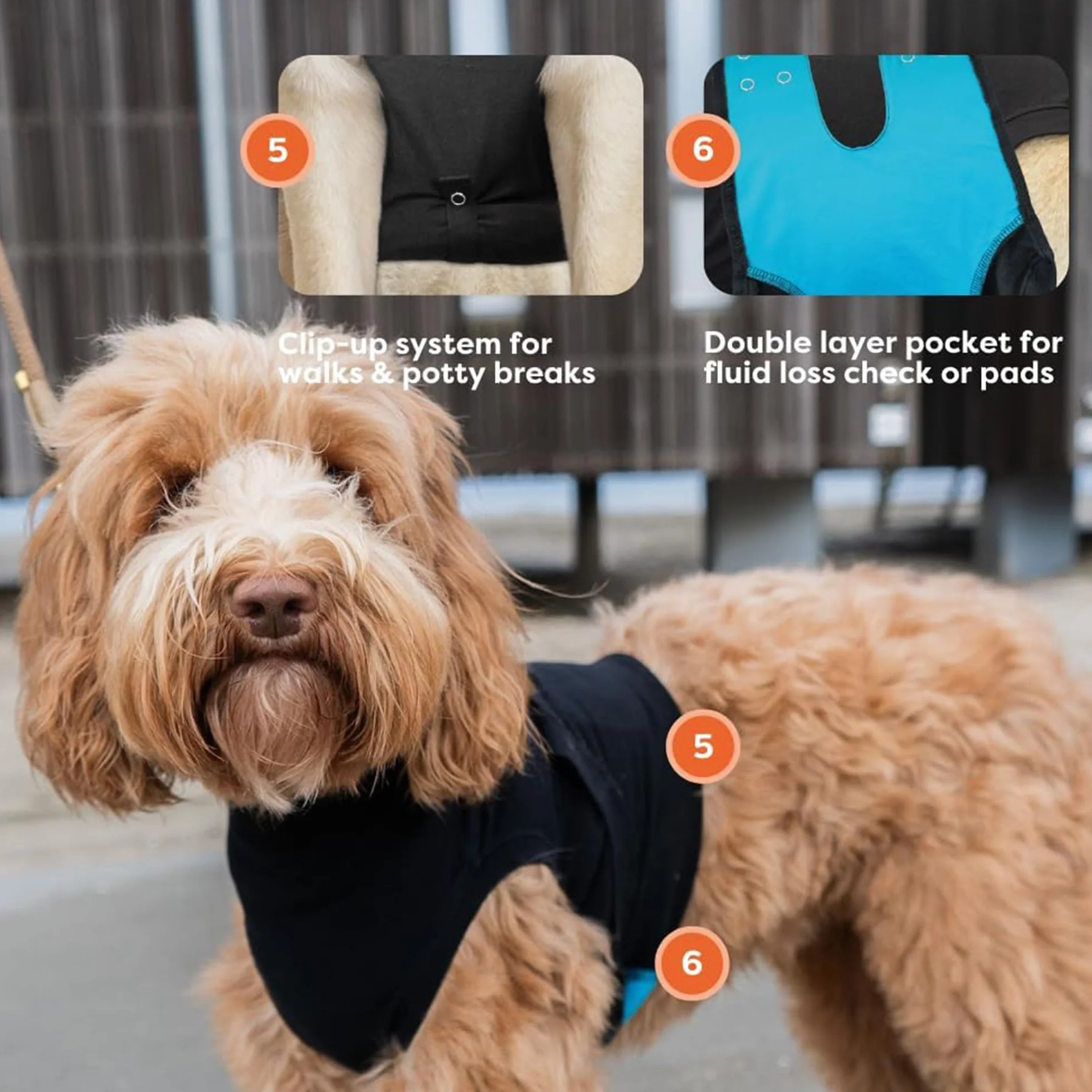 Suitical Recovery Suit Chien S+ Noir