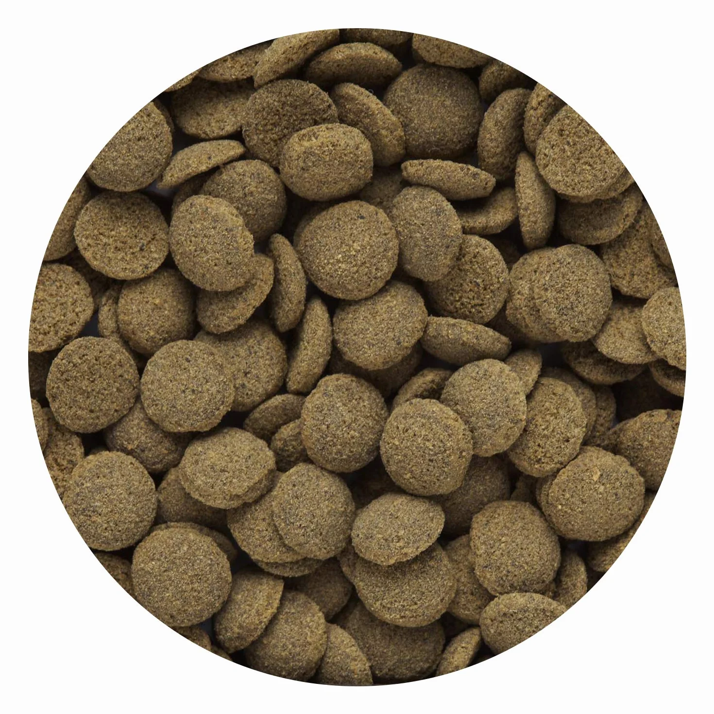 Hikari Gaufrettes coulantes pour Animaux de Compagnie 50 g