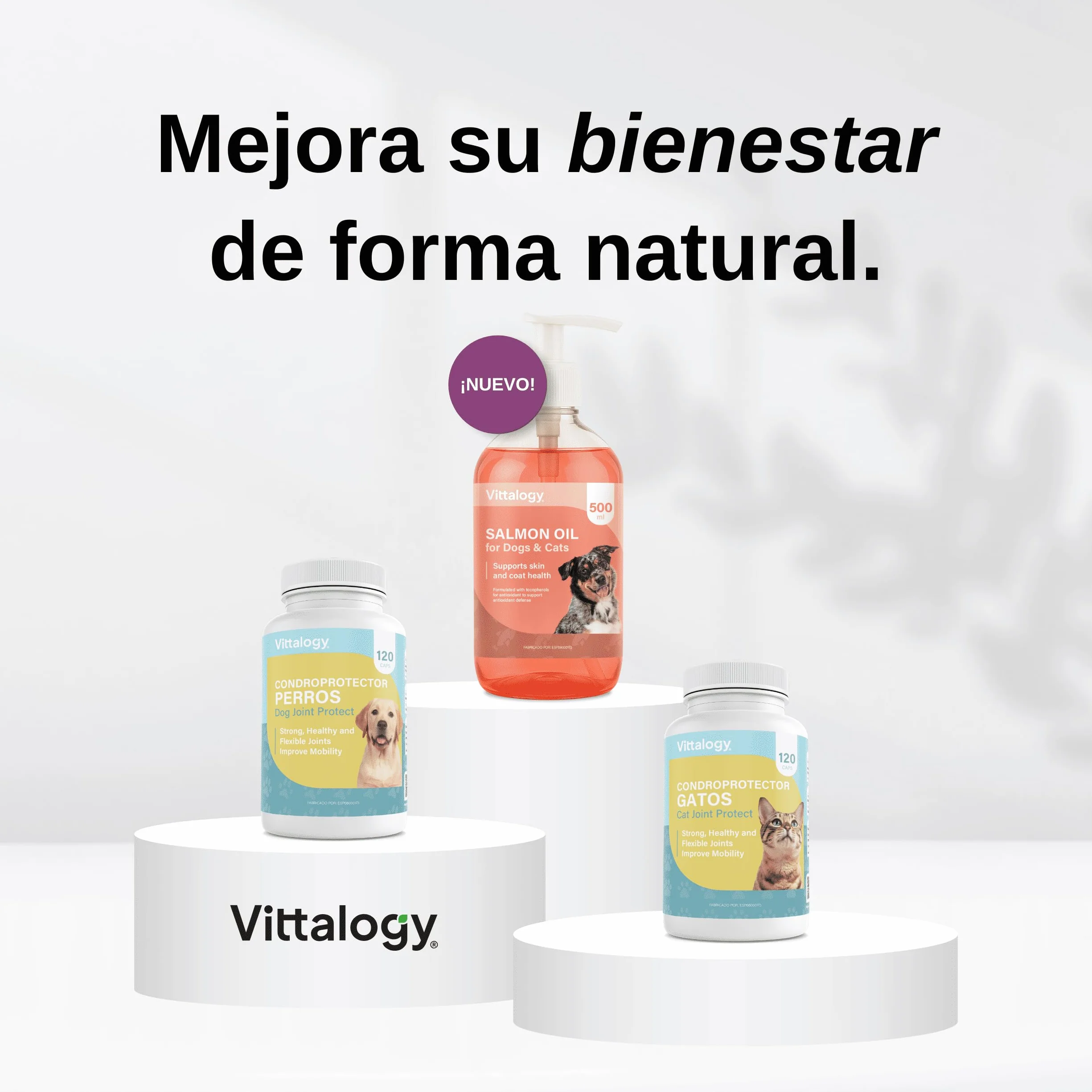 Chondroprotecteur chats anti-inflammatoire naturel collagène chondroïtine hyaluronique curcuma complément alimentaire articulations 120