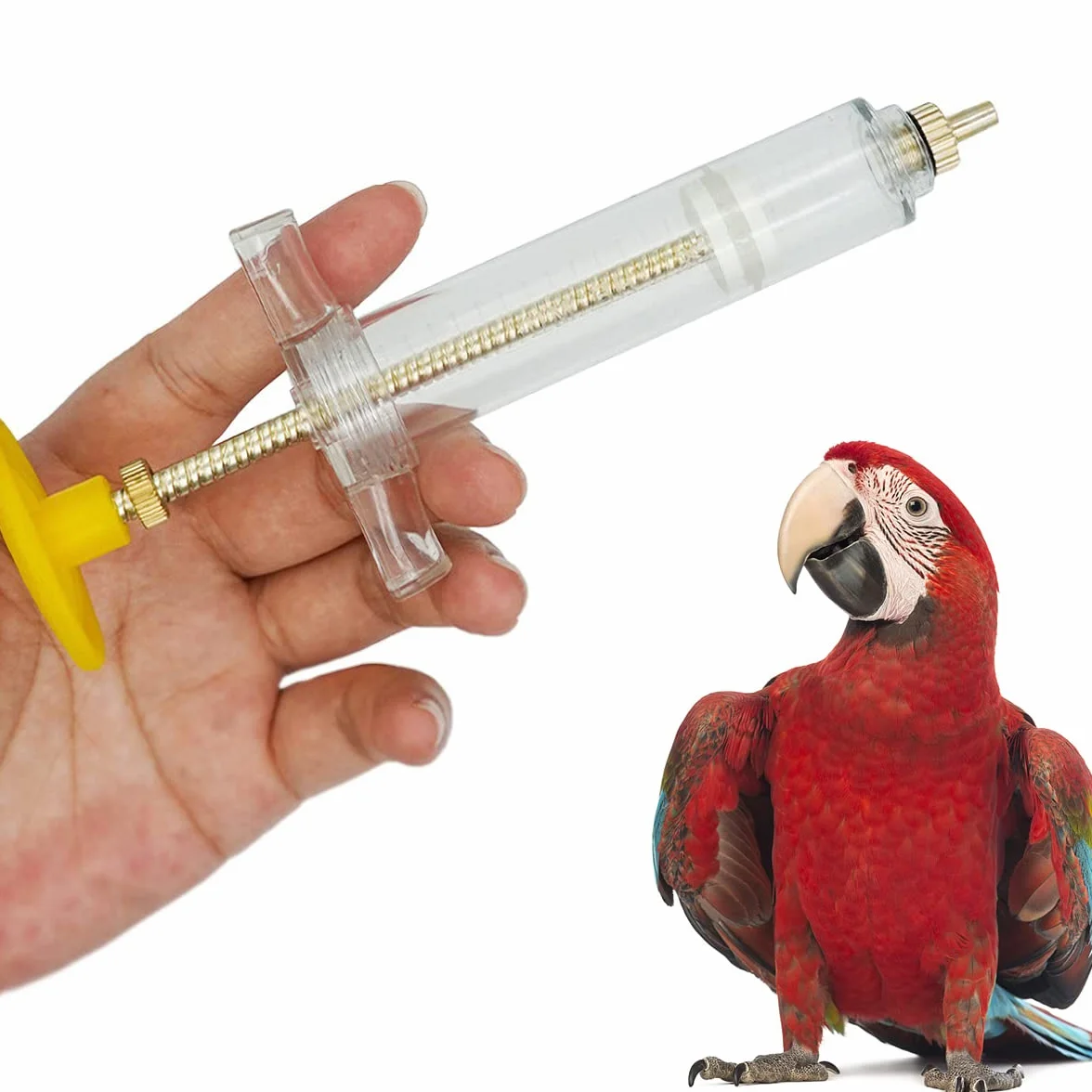 Lot de 3 Seringues d'alimentation pour Oiseaux 10ml 20ml 50ml pour Perruches Perroquets