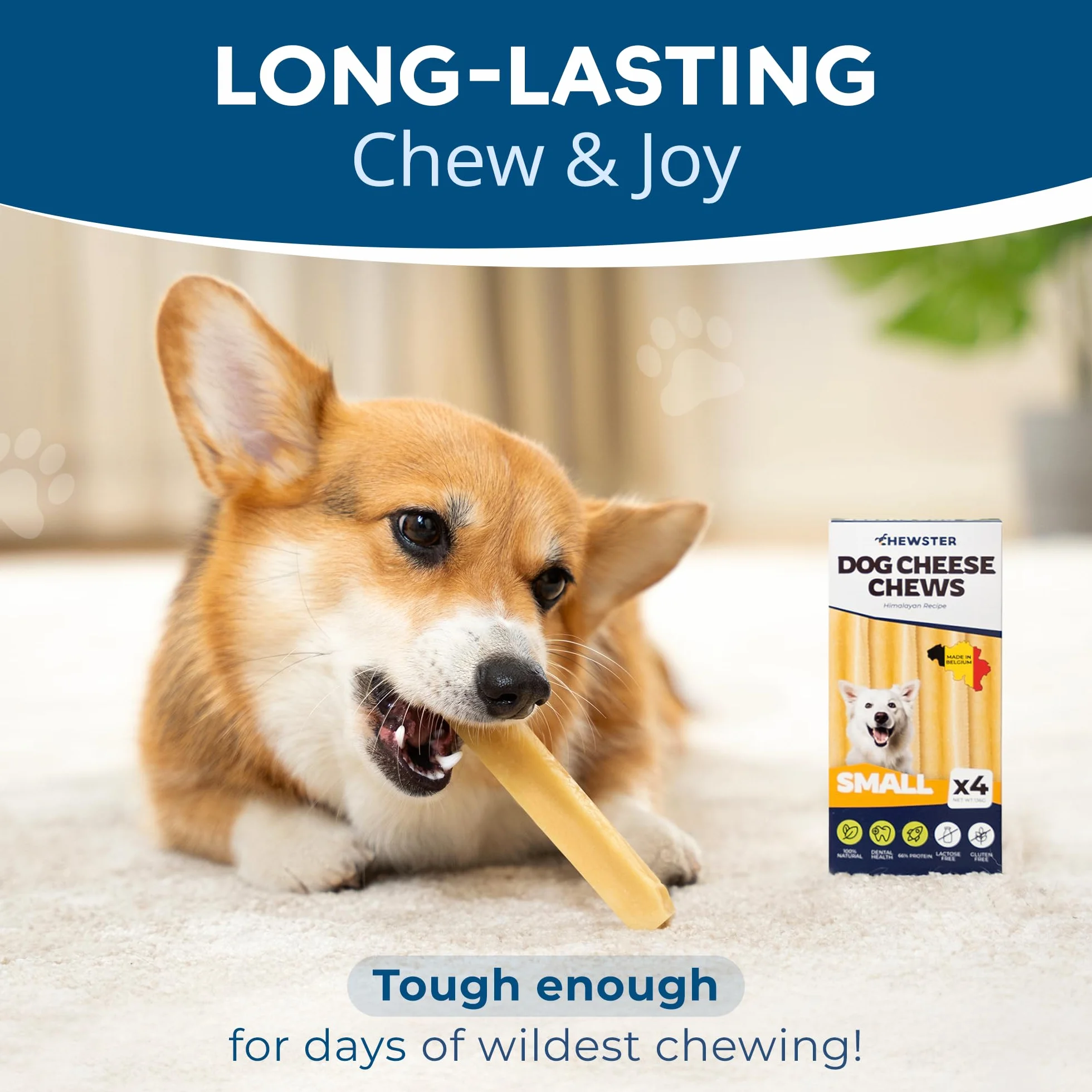 Os à mâcher au Fromage pour Chien - Snacks longue durée, Lait Naturel (136 g, Taille S, Lot de 4)