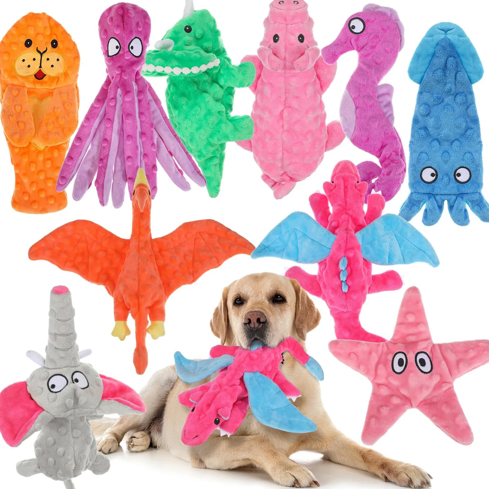 Sratte Lot de 10 jouets couineurs pour chien sans rembourrage - Jouet froissé pour mâcheurs agressifs - Jouets à mâcher pour animaux de compagnie de petite, moyenne et grande taille, 10 styles (styles
