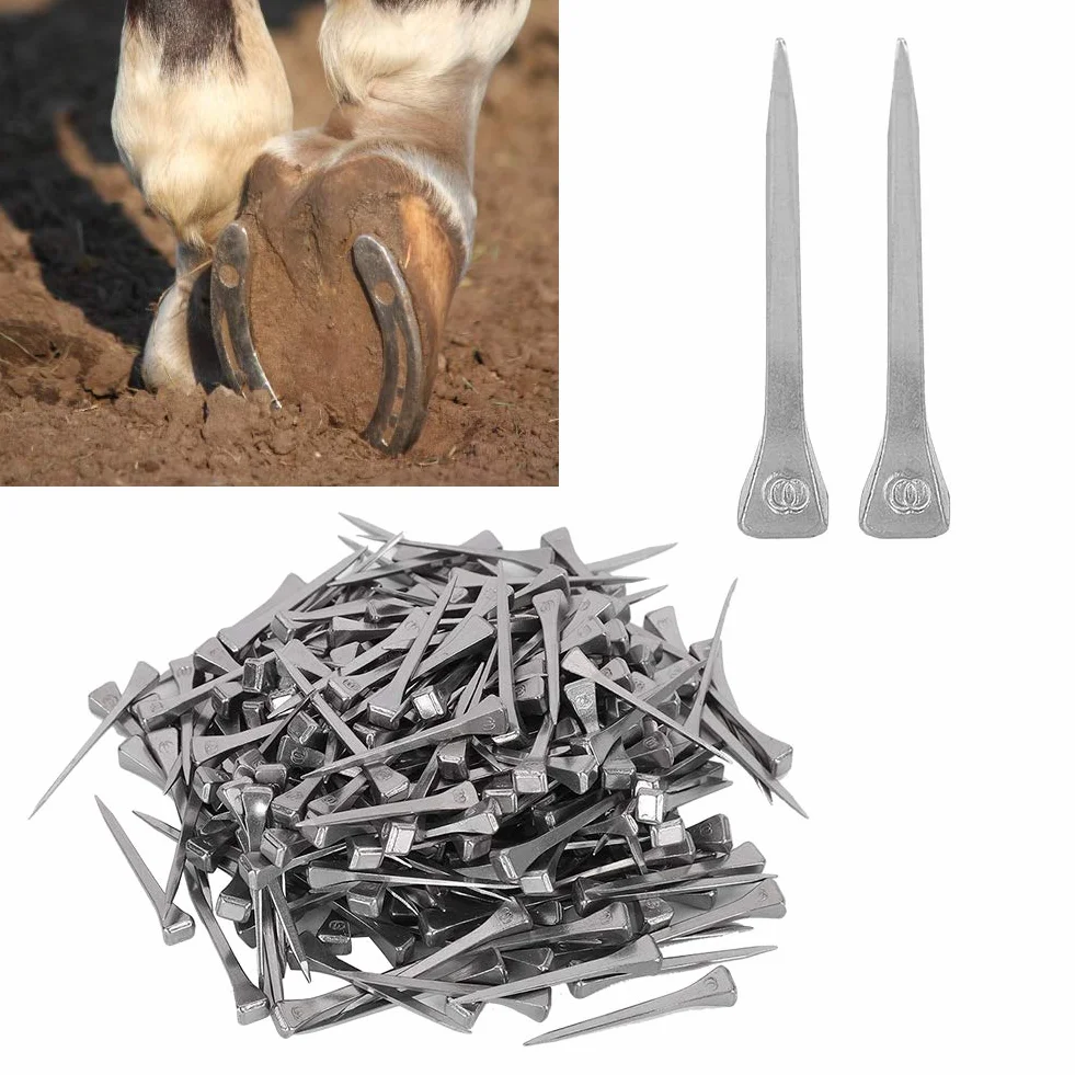 Joyzan Clous Fer Cheval 250 Pcs Horseshoe Nail Acier Outil équipement Cheval