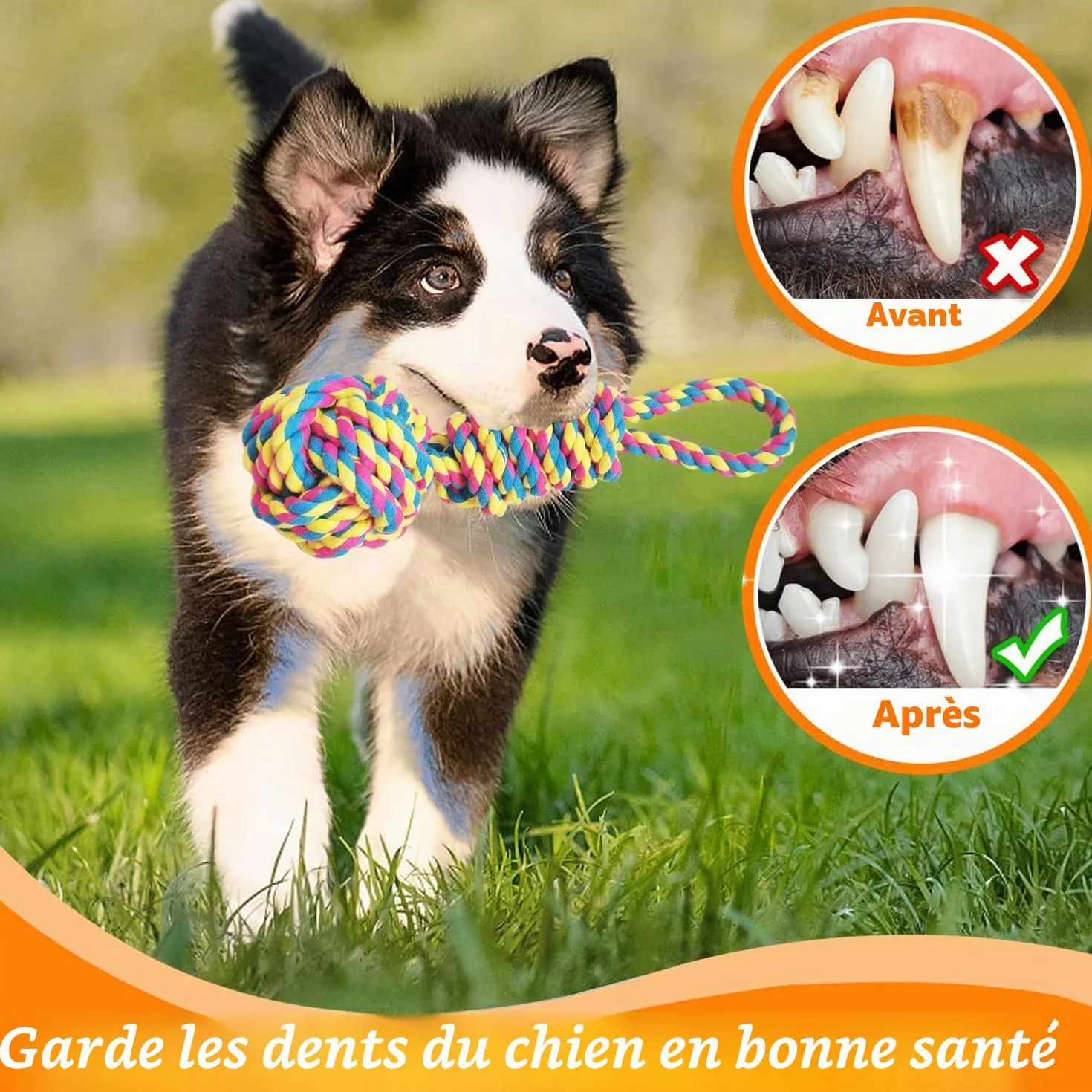 Jouet à Mâcher Chien élastique Indestructible 100% Coton Tir à la Corde