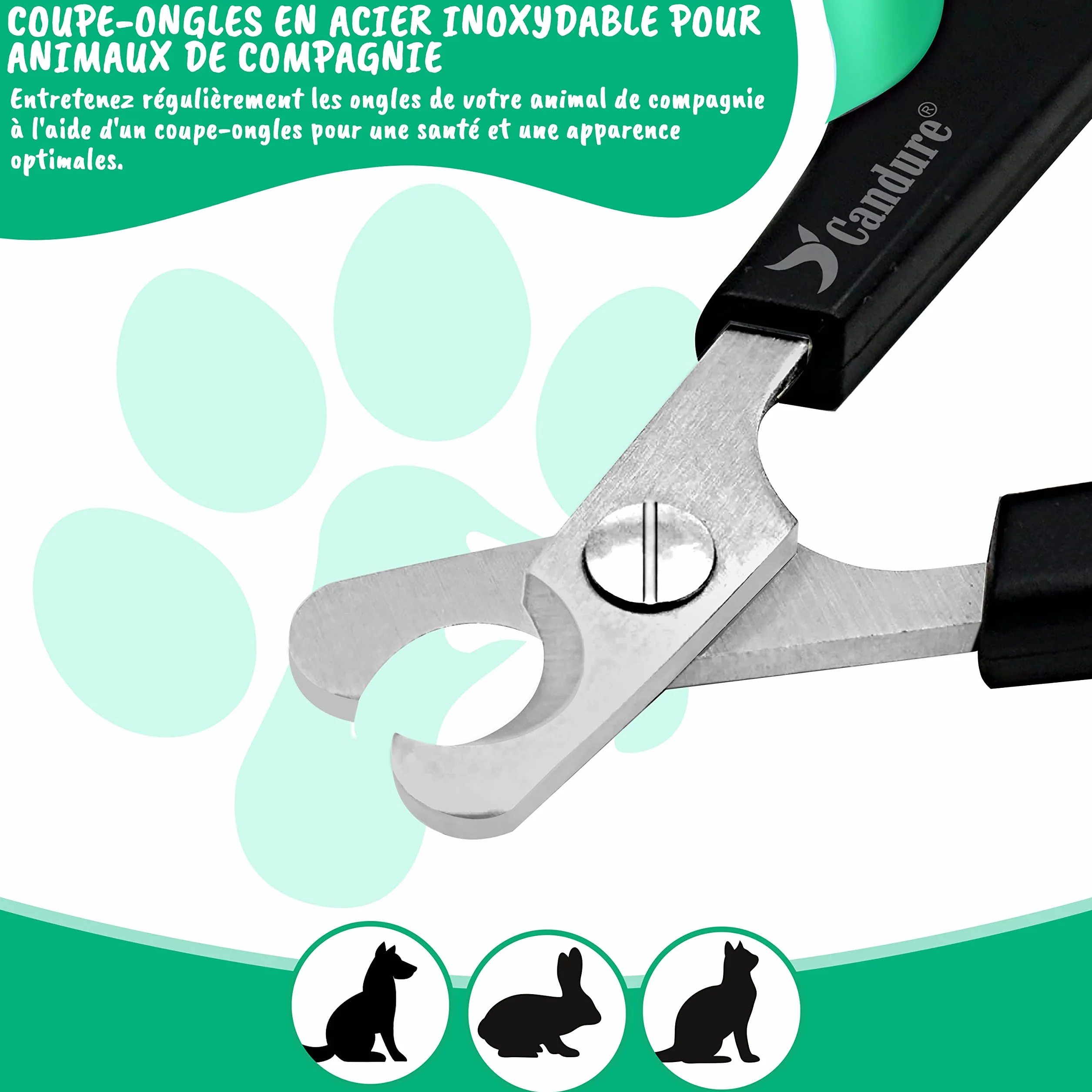 Candure Coupe-Ongles Ciseaux Professionnels pour Animaux de Compagnie Chats Chiens Lapins