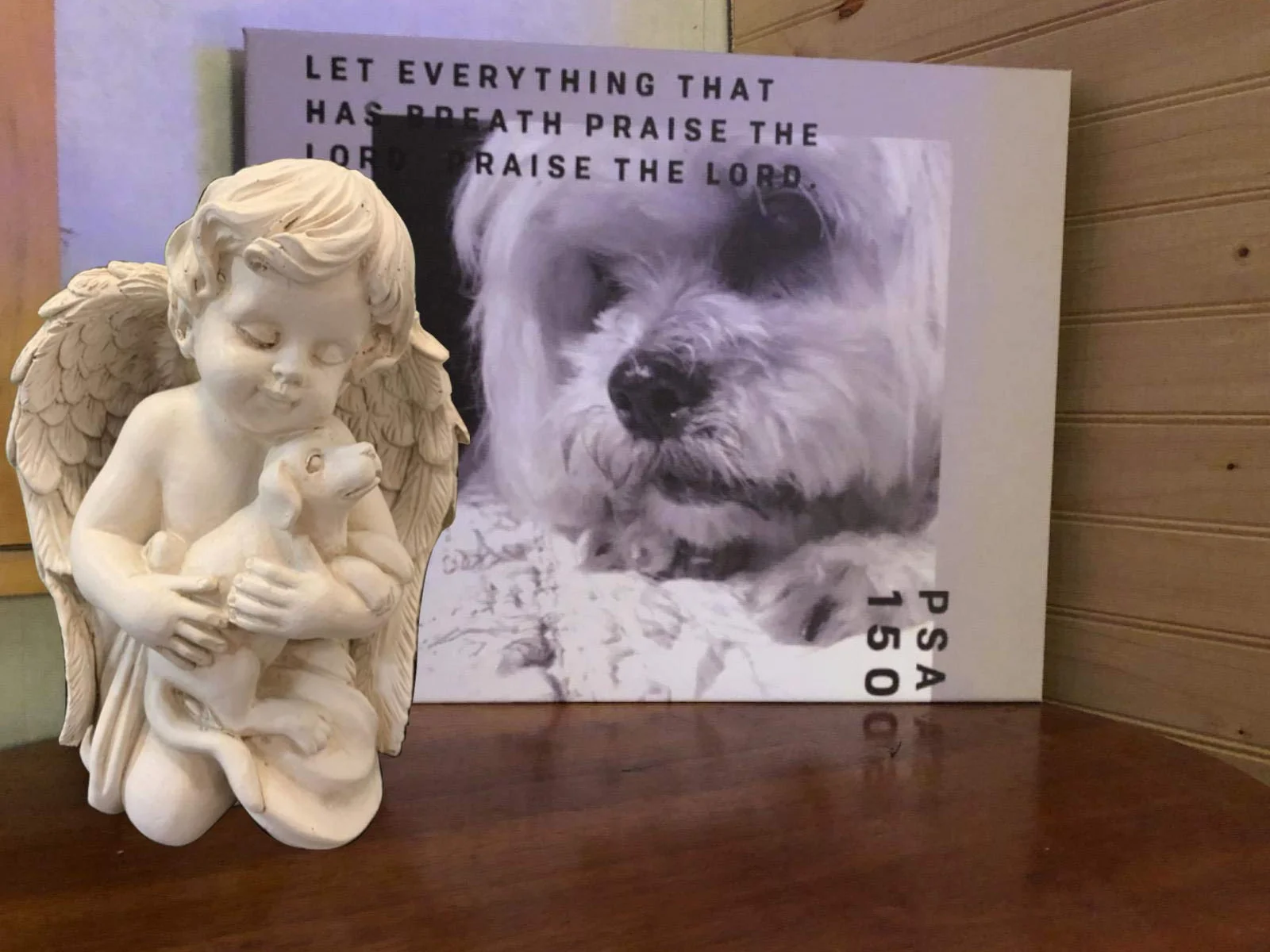 Statue d'ange avec chien commémorative 17,8 cm