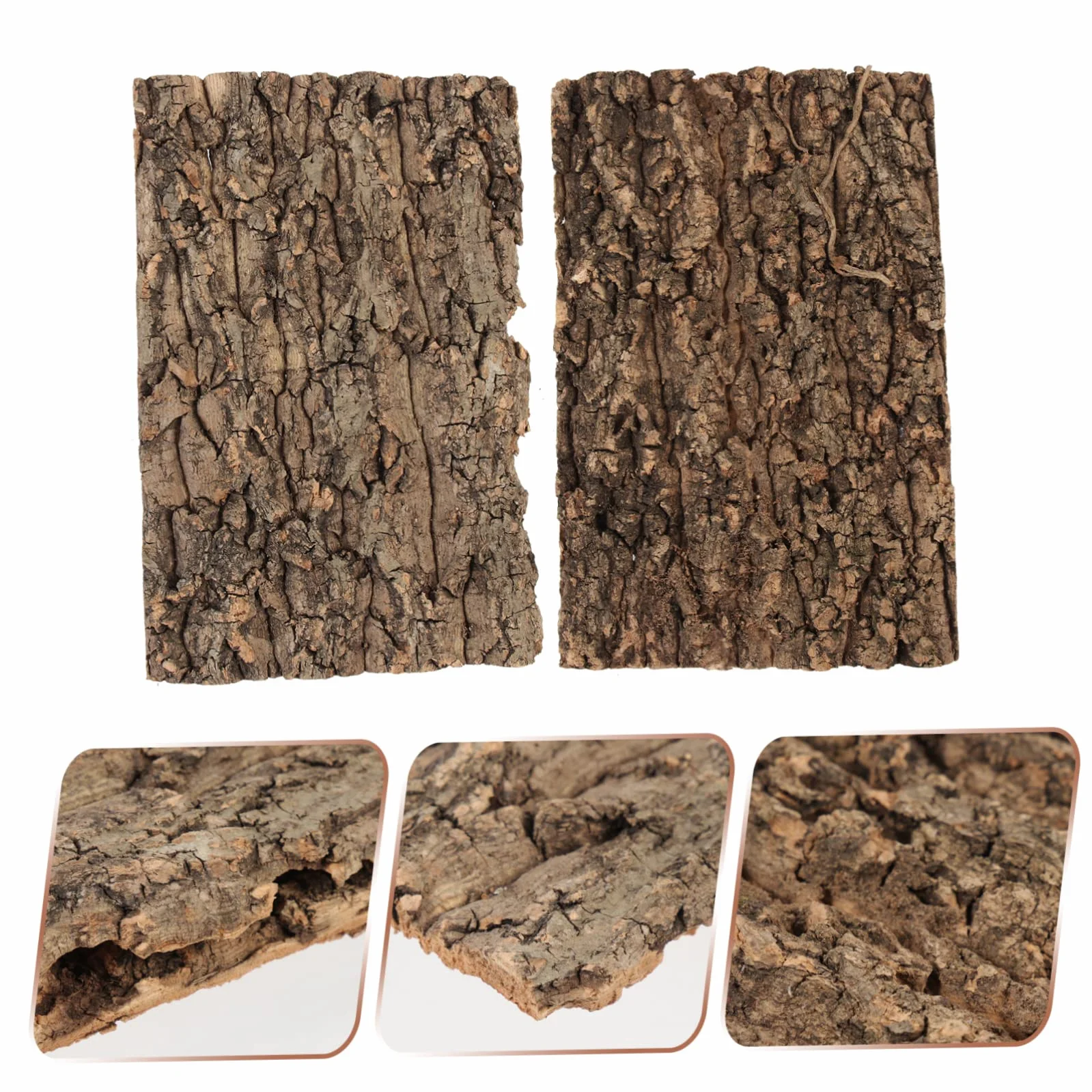 Écorce de Liège Plateforme Reptile Terrarium Décor Escalade