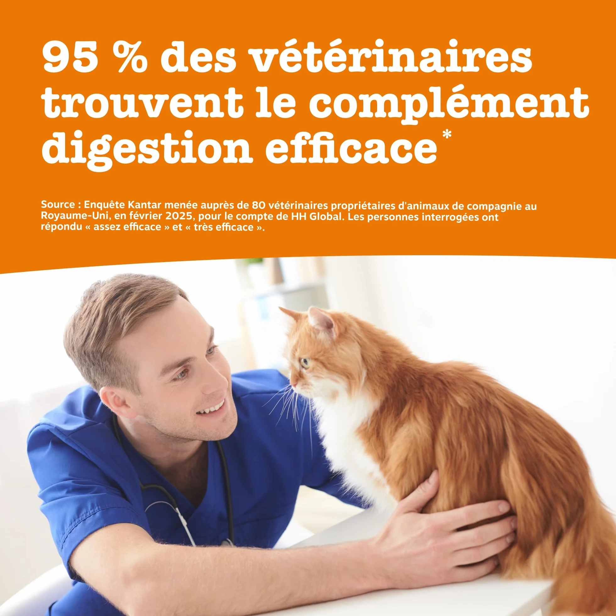 Zesty Paws Pâte Digestion Prébiotiques Chats 75g
