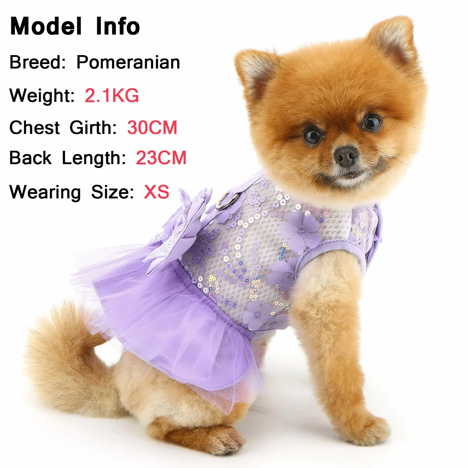Robe à motif floral pour petit chien et fille avec anneau en D et nœud en dentelle