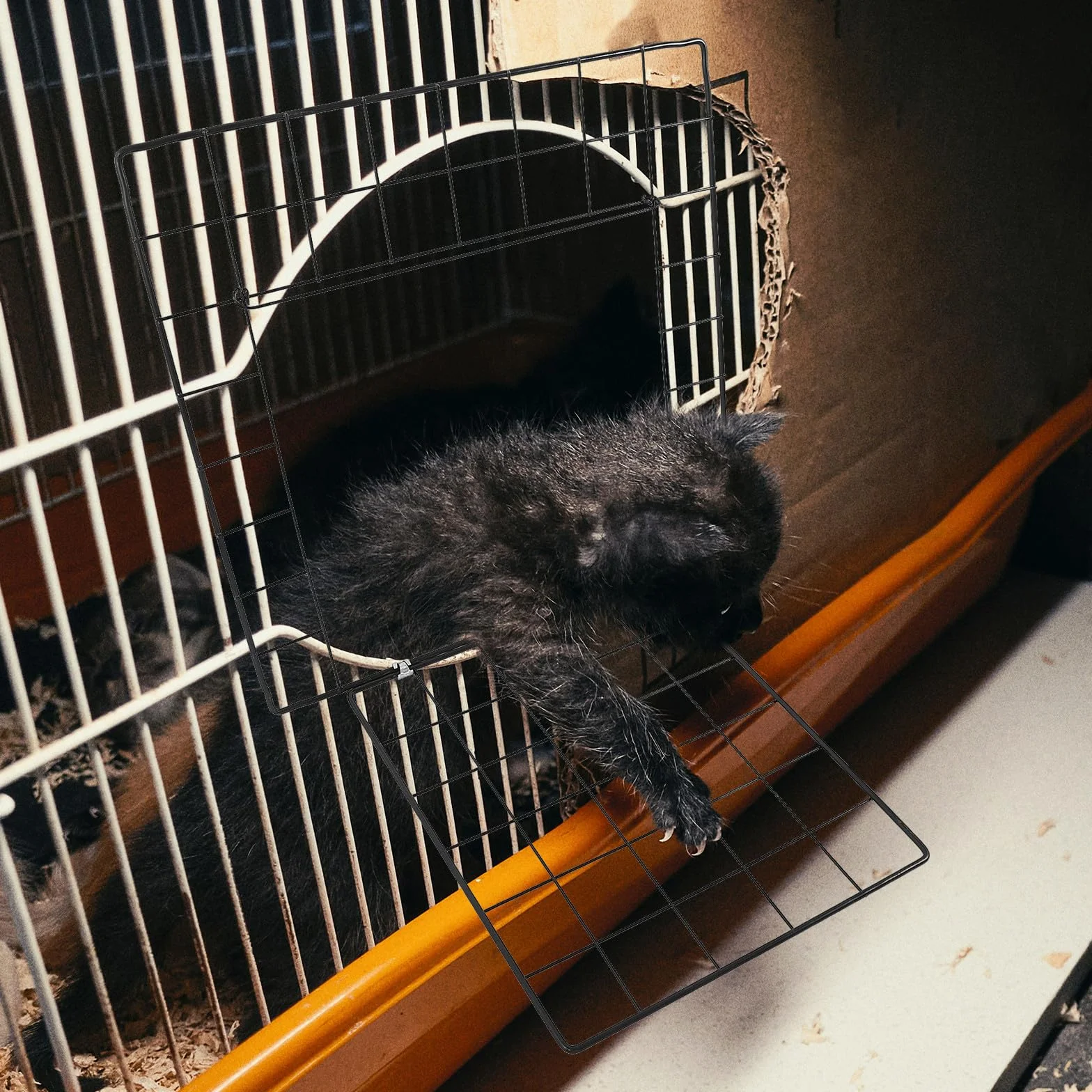 Porte de Clôture en Fer Noir Panneau Modulable Facile à Monter pour Enclos Animaux