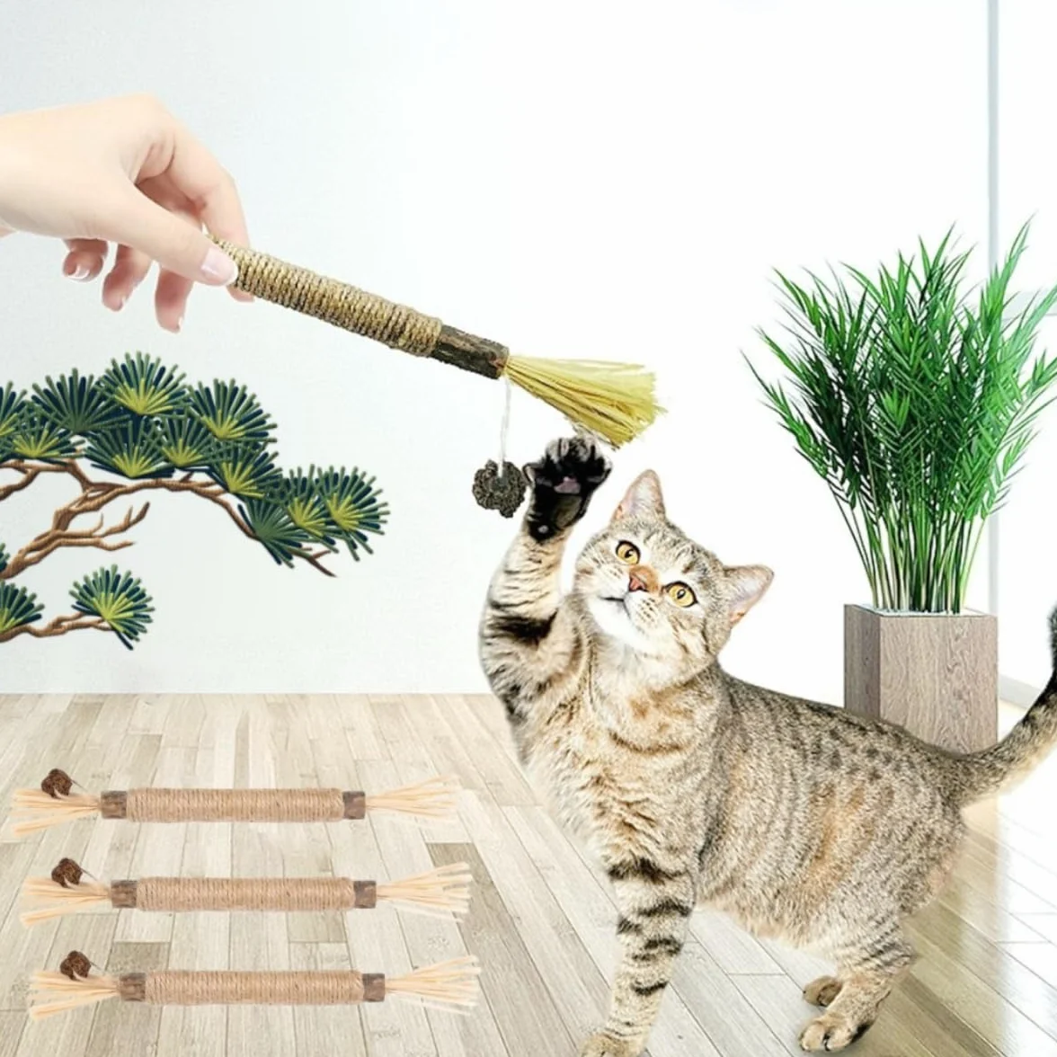 Bâtonnets Herbe à Chat Naturels 6 Pièces Jouet Interactif Nettoyage des Dents Anti-Tartre