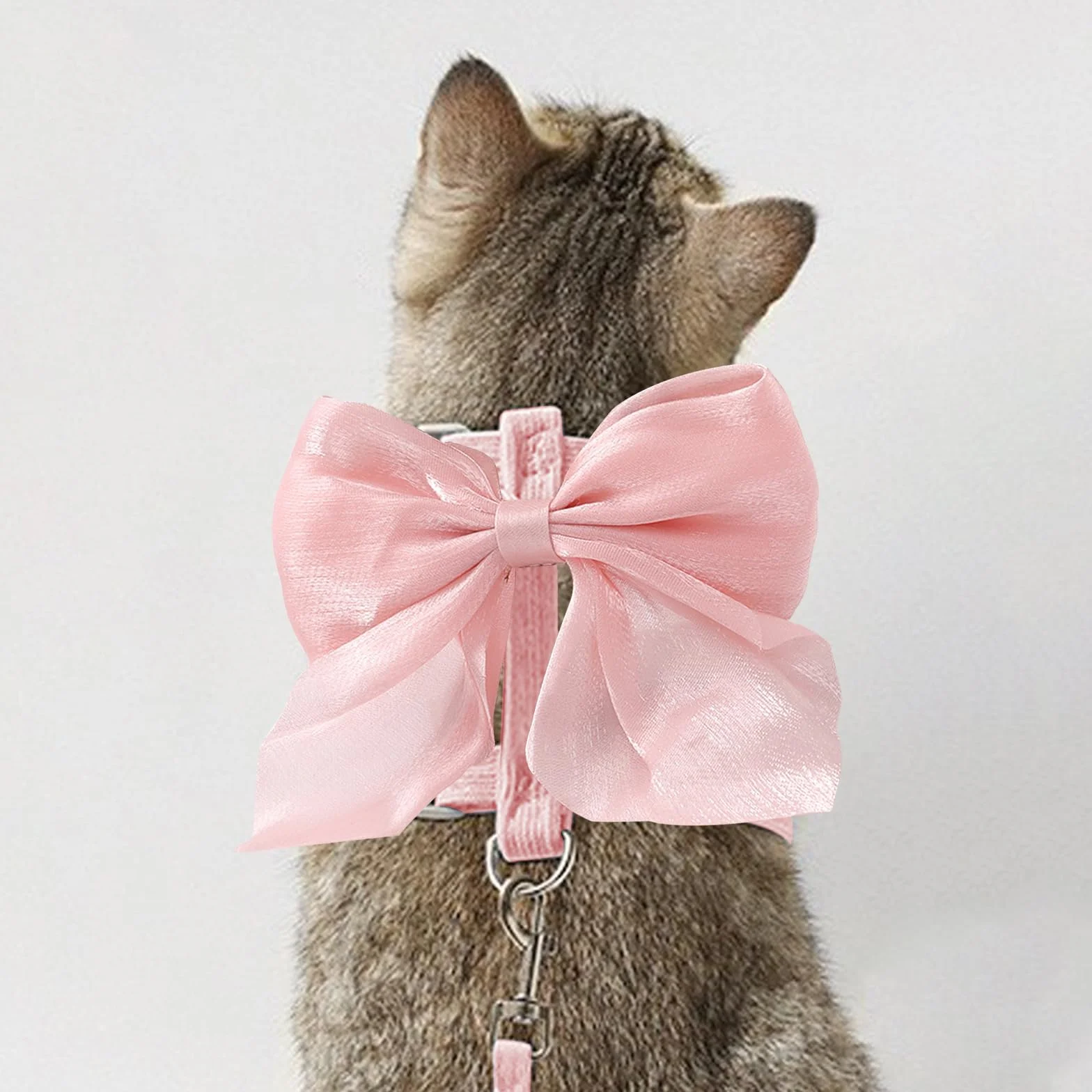 Harnais pour Chat avec Laisse, Réglable, Noeud Rose, pour Chat Chiot Lapin Maine Coon Persan