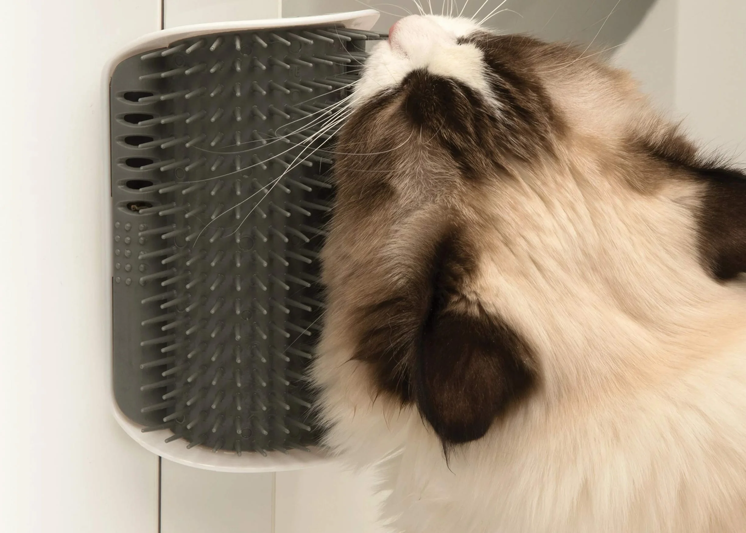 Catit Senses Brosse Auto Toiletteur pour Chat