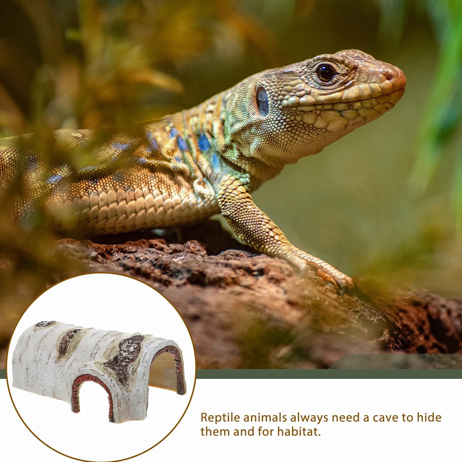 Maison Tortue Terrestre Exterieur Résine Naturelle Grotte Décorative Reptiles Abri Cachette Petits Animaux