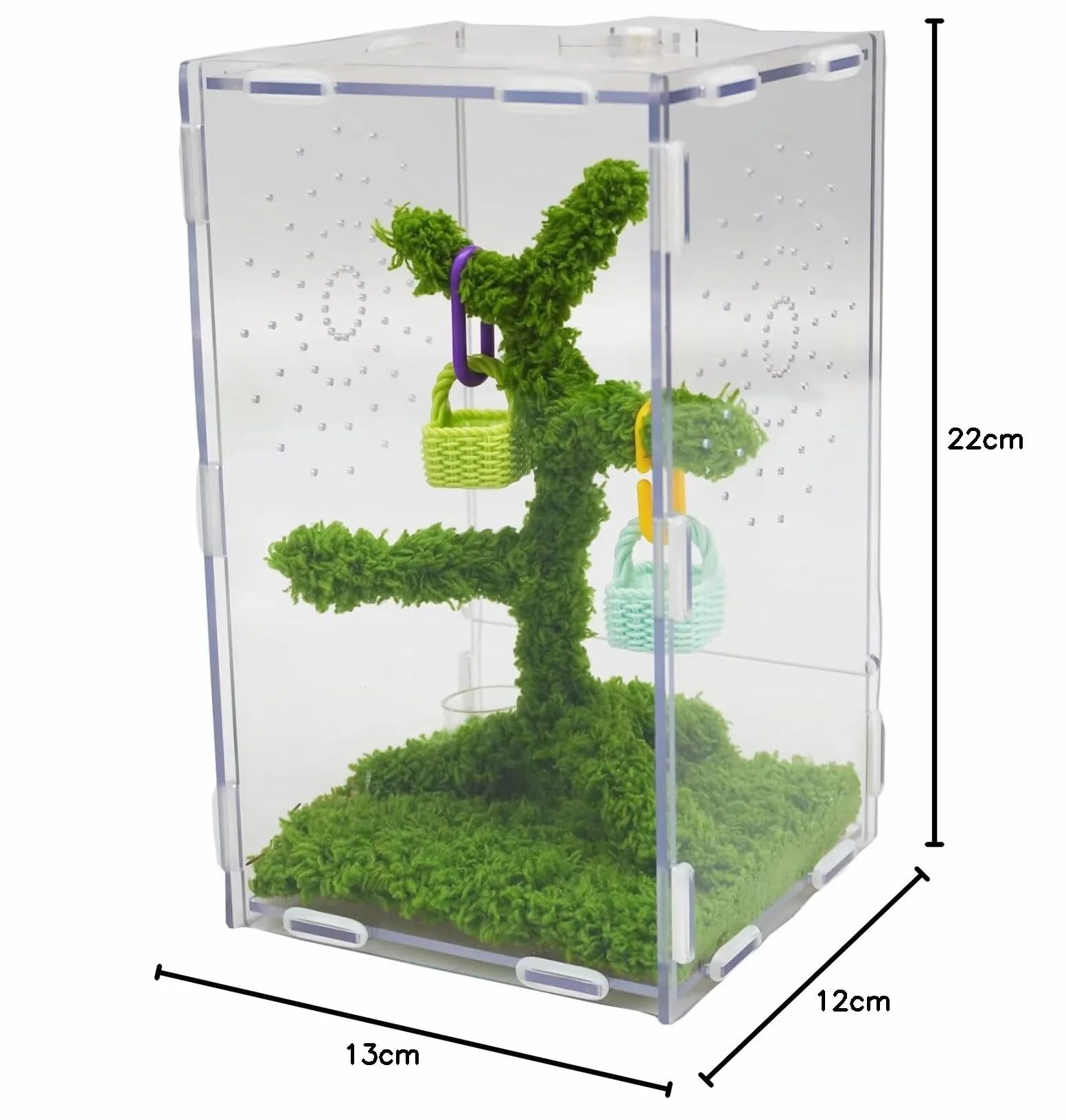 Kit Terrarium Araignées Sauteuses Acrylique Ventilé 22x13x12 cm avec Pince Nourriture et Décor