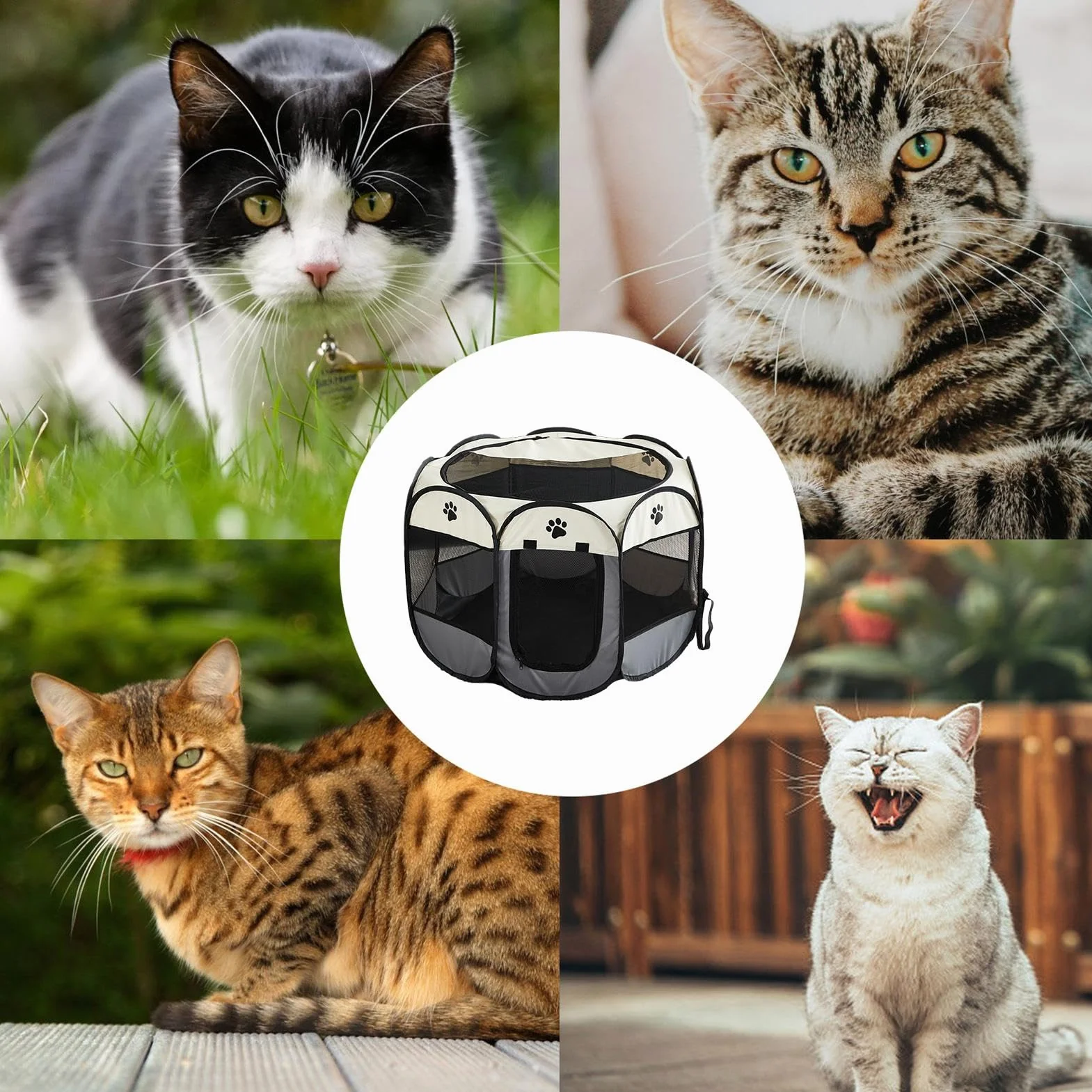 Parc pour chat d'extérieur pliable Tissu Oxford fermeture éclair enclos jeu amovible cage respirante fond imperméable