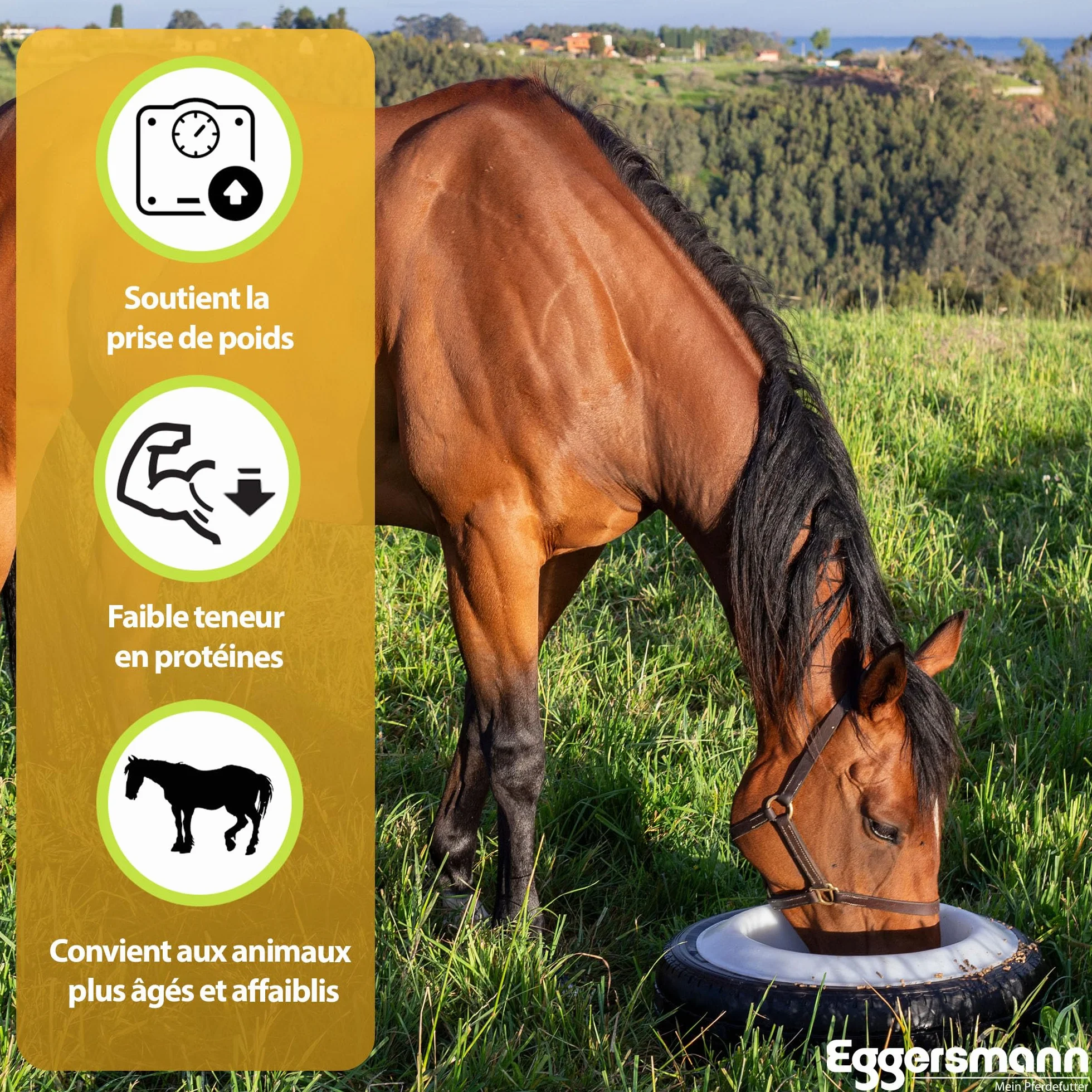 Eggersmann Nourriture pour Cheval Flocons de maïs 15 kg