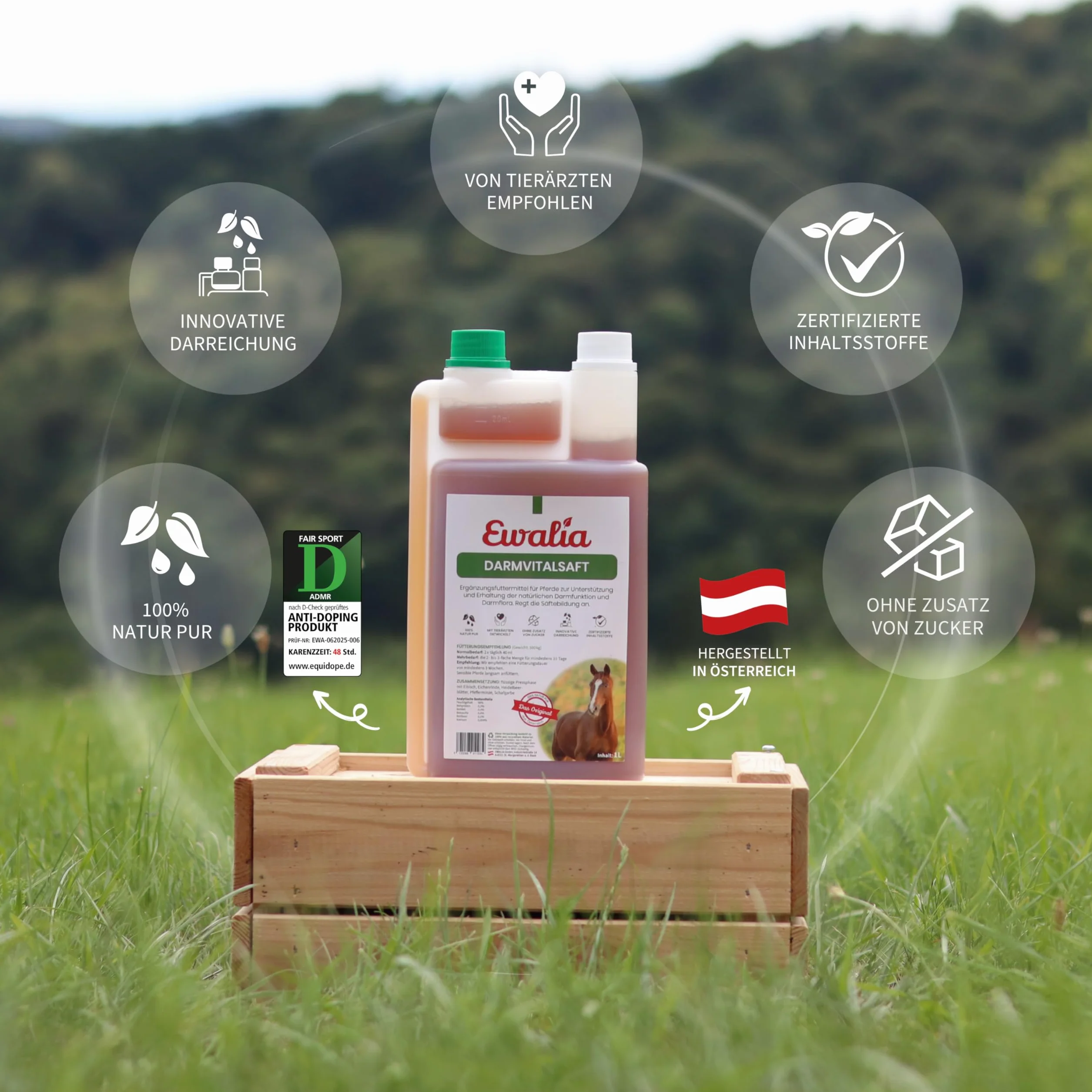 Ewalia Jus vital intestinal pour chevaux 1 l