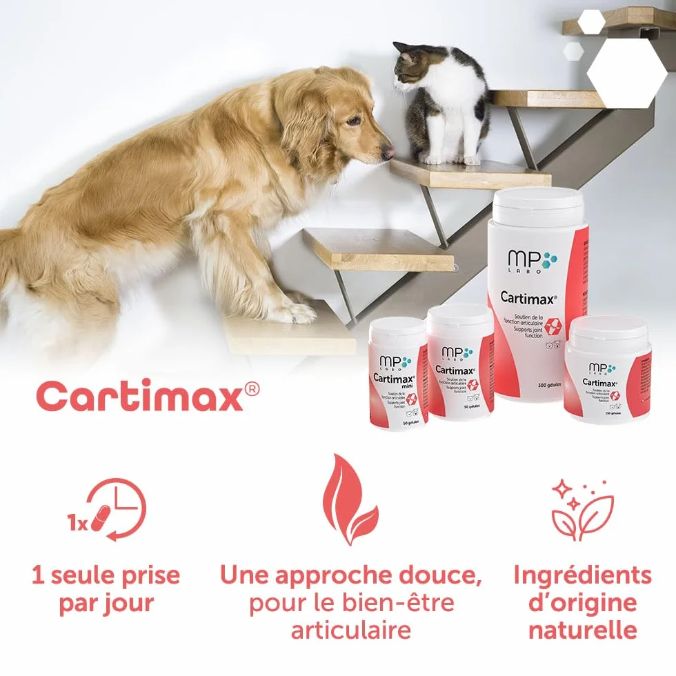 MP Labo Cartimax Soutien Fonction Articulaire Chien Chat Glucosamine Harpagophytum Reine des Prés Bambou Oligo-éléments 50 Gélules