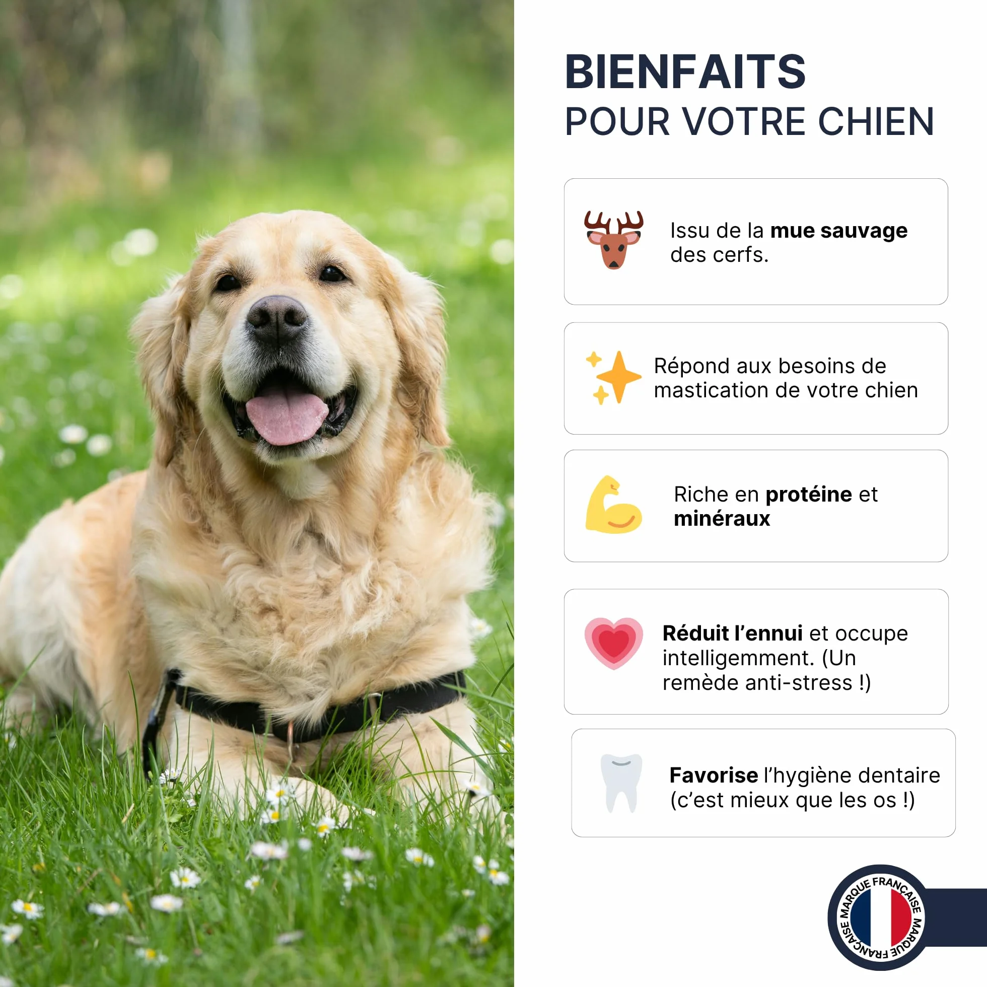 Bois de Cerf M Entier 60-100 g pour Chien Moins de 20 kg, Friandise Naturelle à mâcher Longue Durée