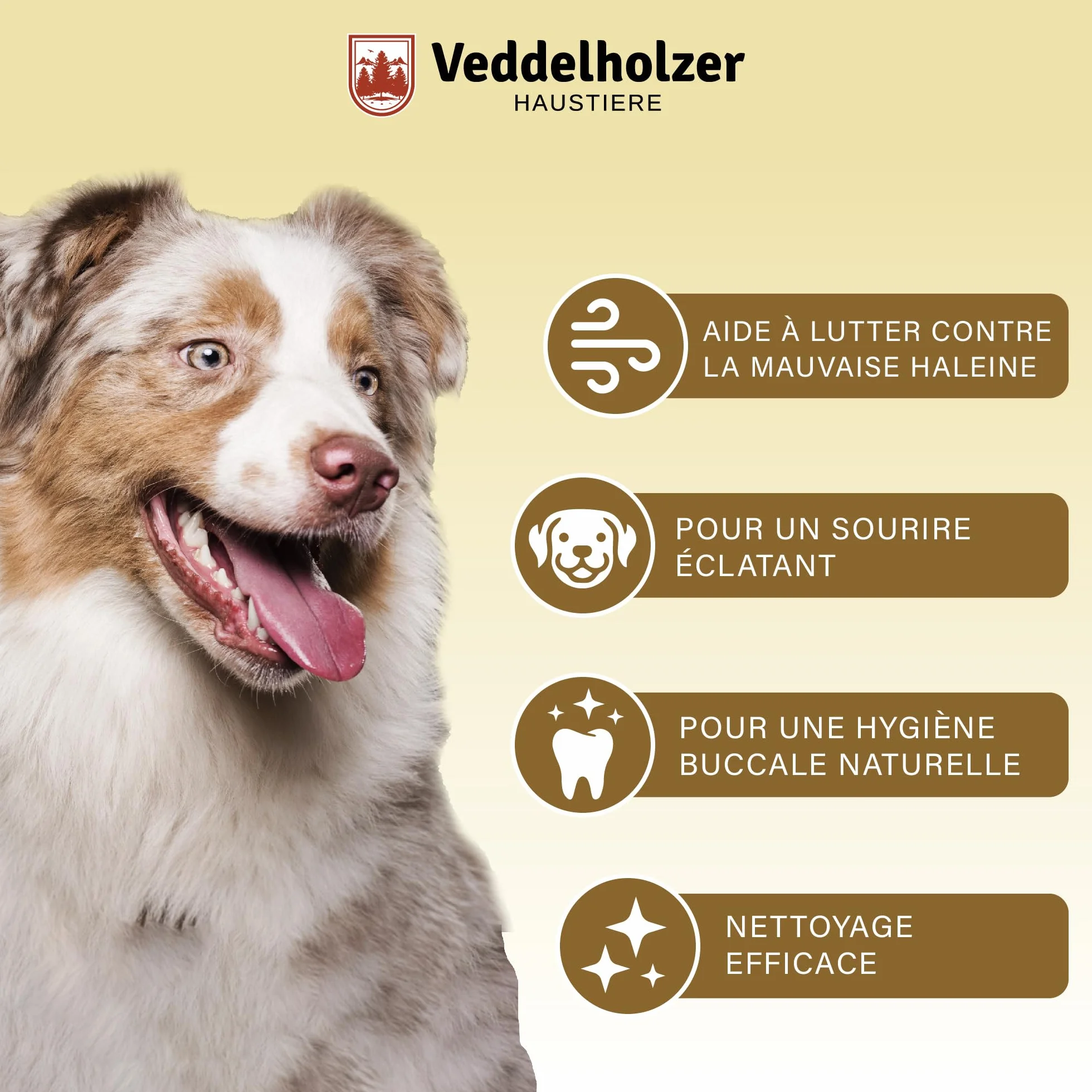 Veddelholzer Spray Dentaire probiotique pour Chiens et Chats 150 ML avec Brosse à Dents des Doigts et Complexe enzymatique