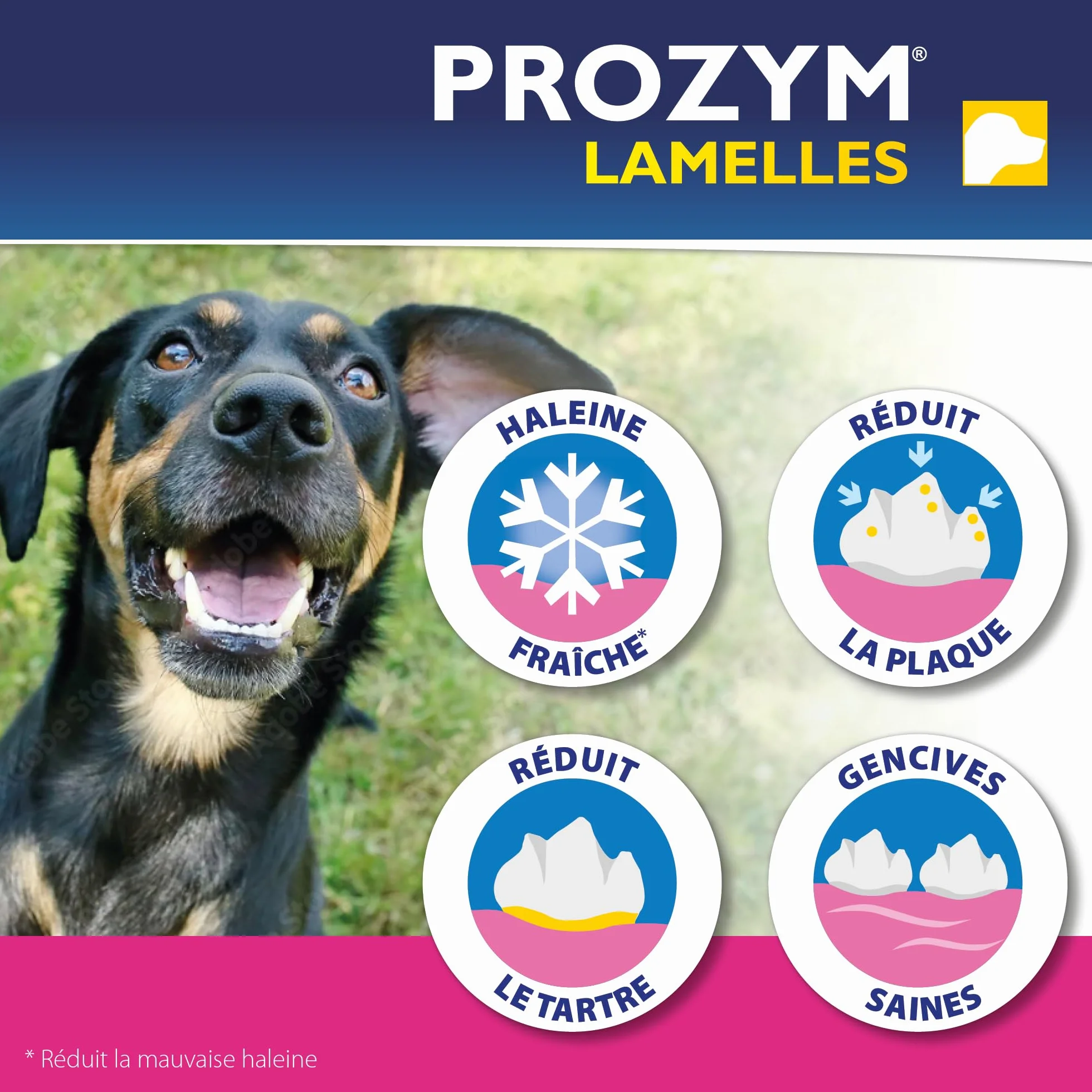 Prozym Lamelles Chiens Soin Dentaire Anti-tartre Anti-Plaque Haleine Fraîche (S)