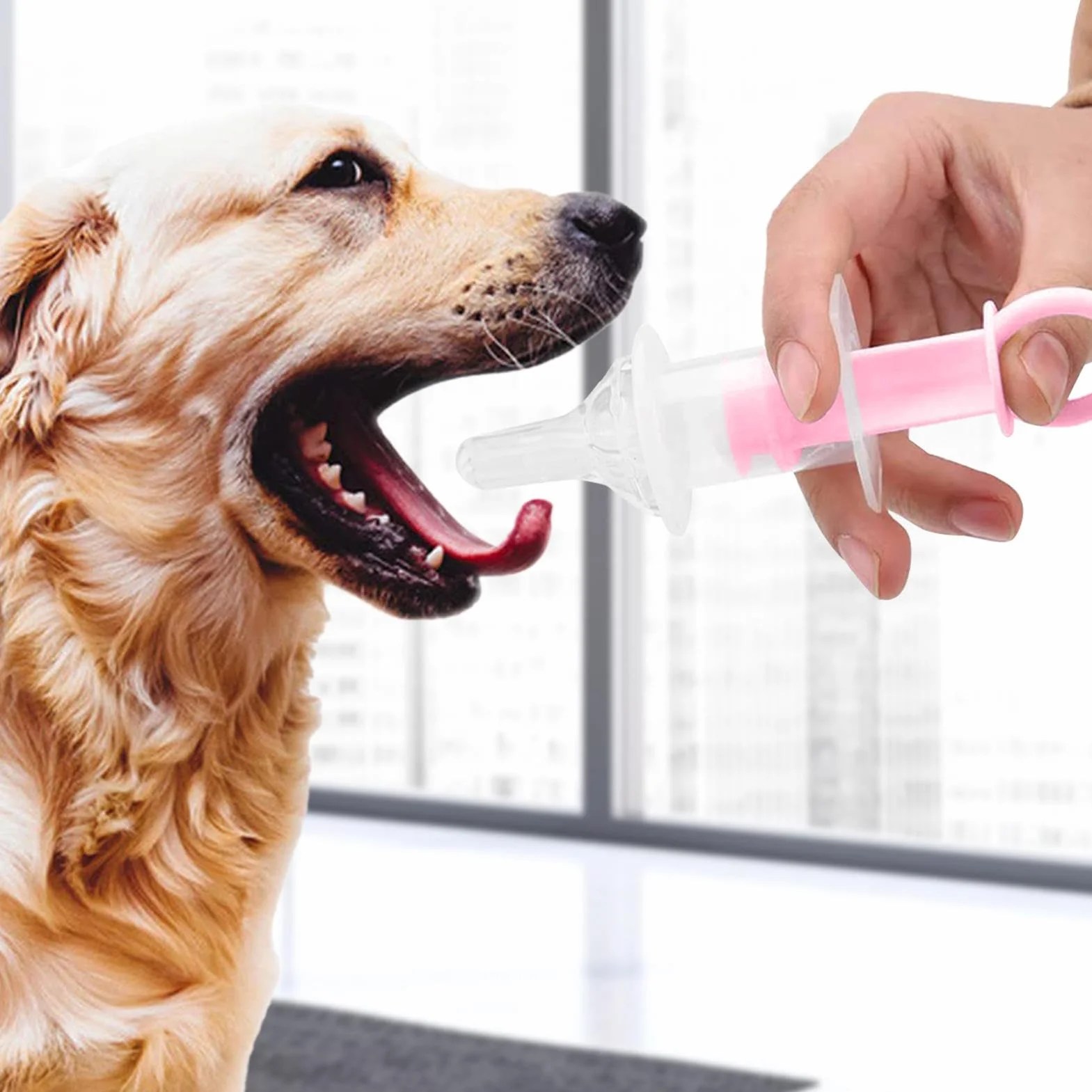 Lot de 2 seringues d'alimentation réutilisables pour chiens et chats - Pointe souple