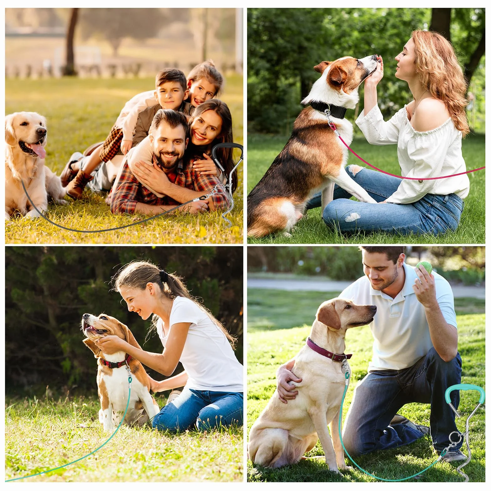 Ancrage au sol pour chien avec laisse 3 m - Kit de sécurité inoxydable pour grands chiens