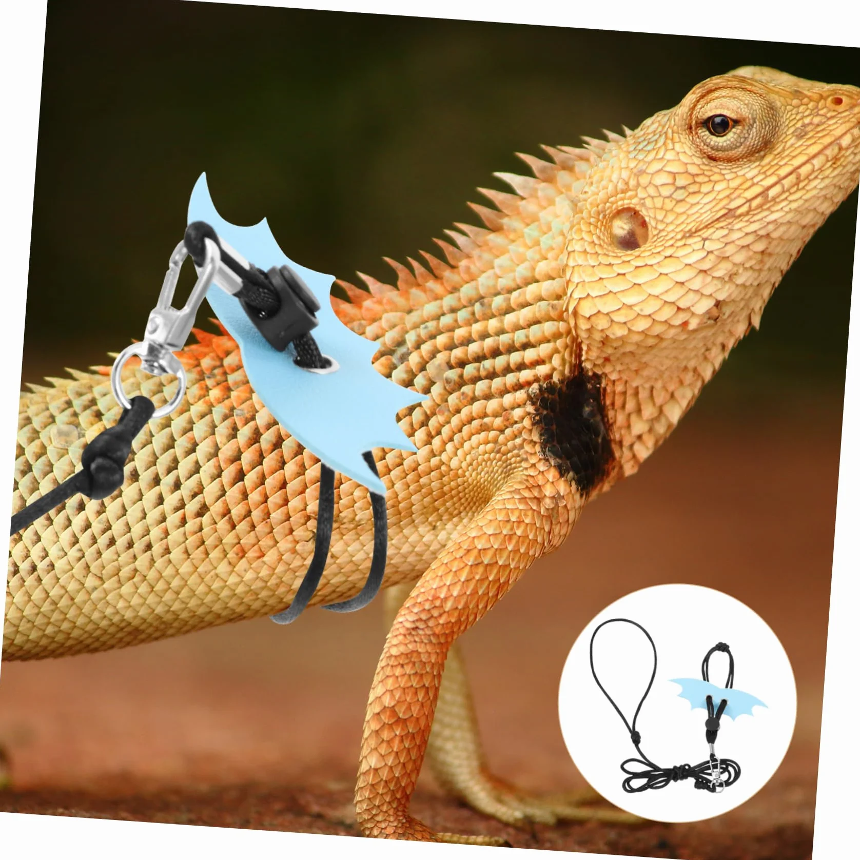 Laisse Réglable pour Reptiles Lézards Petits Animaux Design Unique Sorties Extérieur