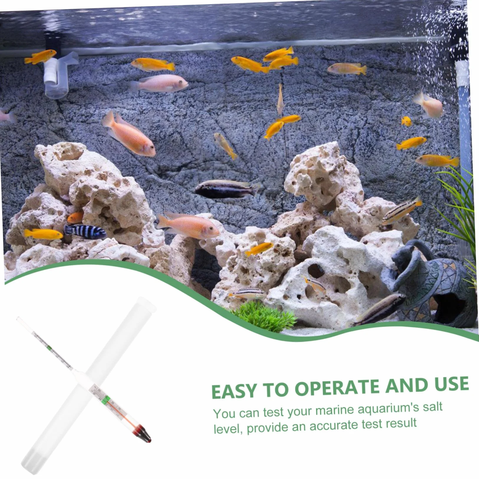 Ipetboom Hydromètre de salinité pour Aquarium Haute précision Testeur d'eau salée