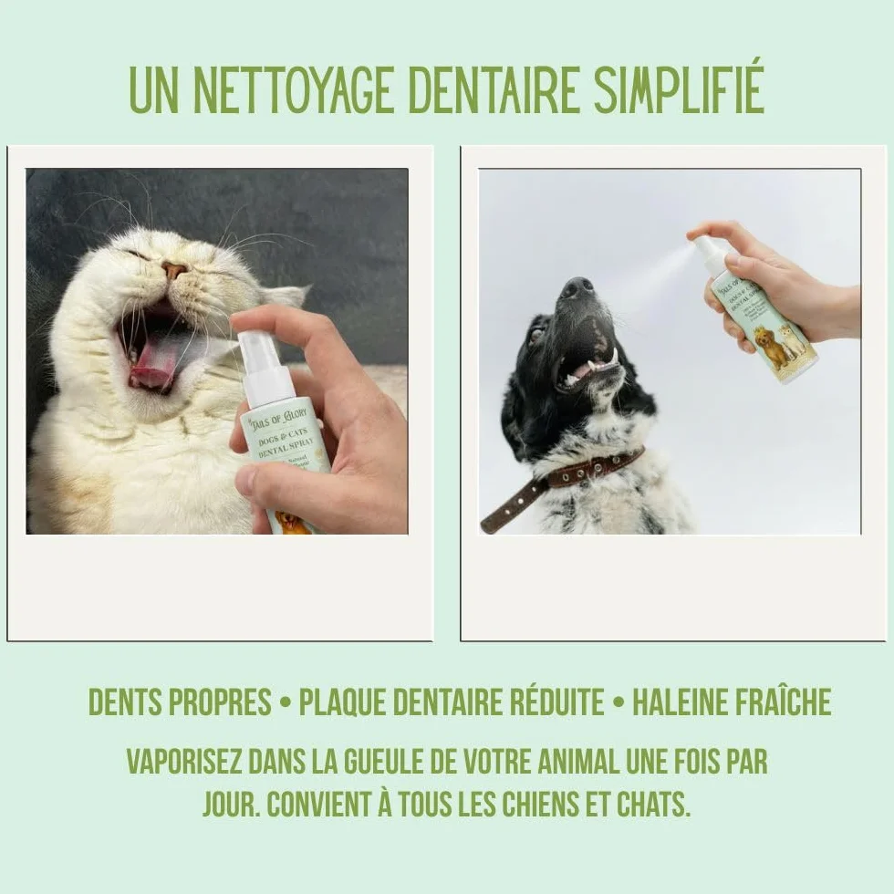 Spray Dentaire Chien & Chat 100ml – Haleine Fraîche, Anti Plaque, Anti Tarte – Formule Prébiotique Naturelle