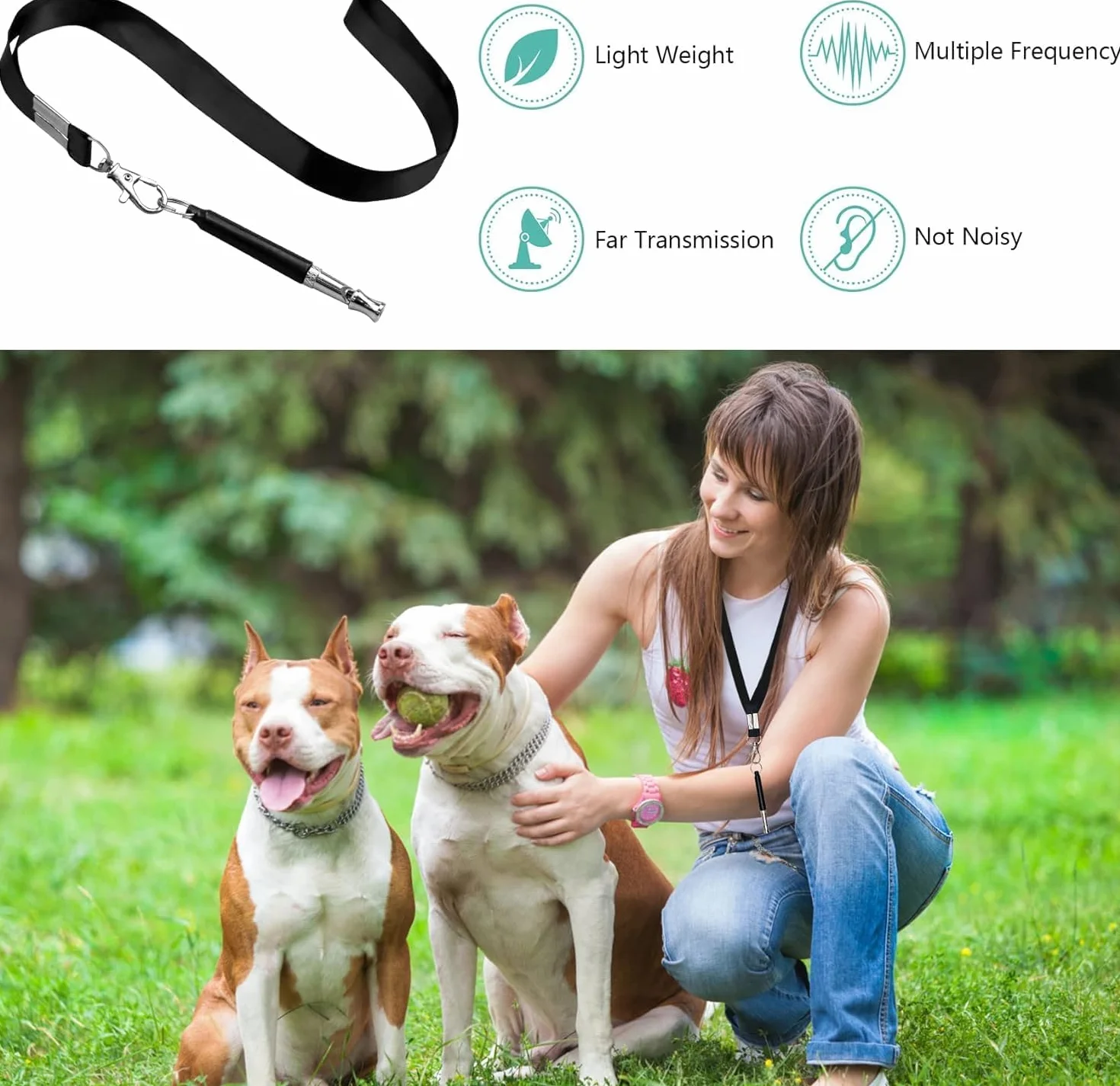 Sifflet Chien Anti Aboiement Ultrason Rappel avec Lanière Noir et Blanc