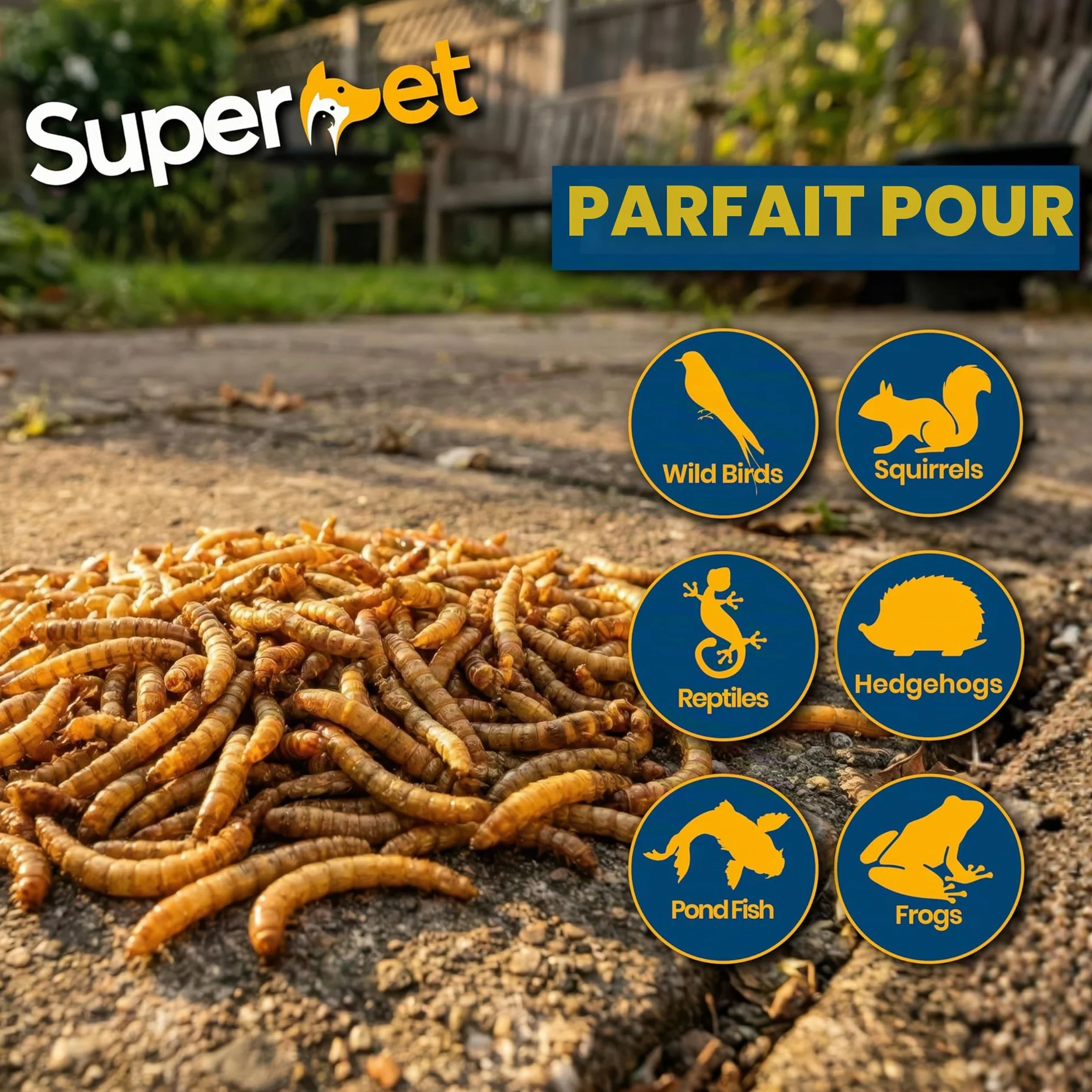 Vers de farine séchés 5 kg pour oiseaux sauvages