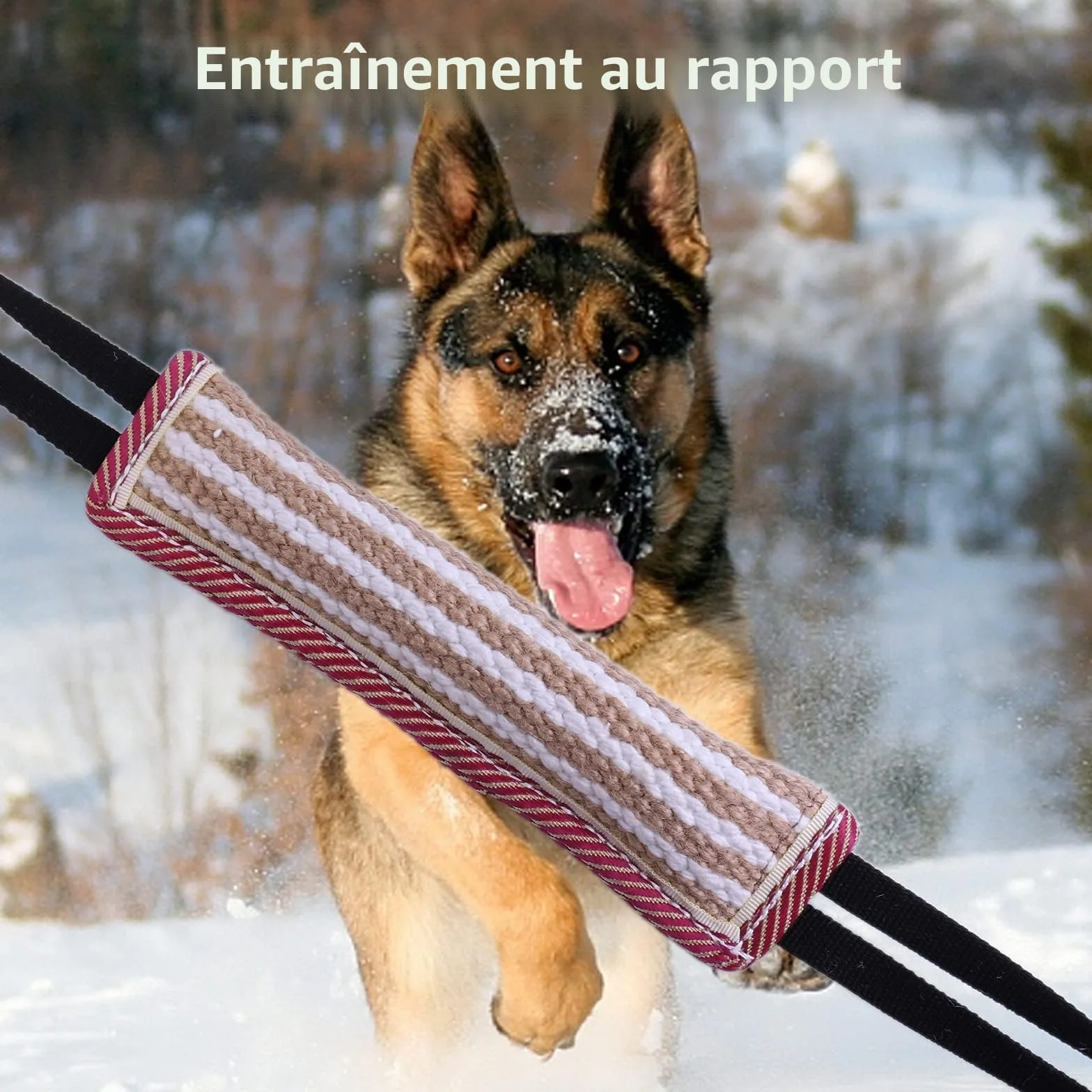 Lot de 2 Jouet Chien Indestructible Corde avec Anses pour Jeux et Entraînement