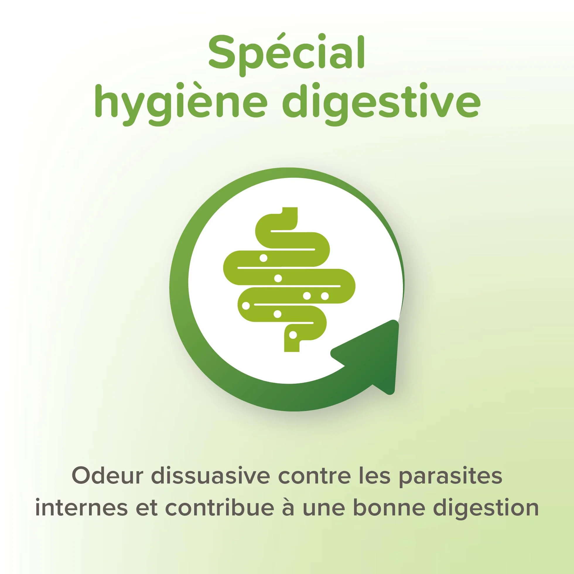BEAPHAR VERMIPURE Solution liquide pour Chat 50 ml Ingrédients naturels Hygiène digestive