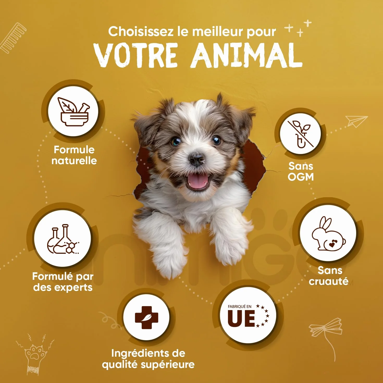 Poudre Soin Dentaire Chien et Chat 350g - Algues Varech Anti Tartre, Plaque Dentaire & Mauvaise Haleine Chien - Nettoyage des Dents Détartrage Efficace À La Menthe Poivrée - Hygiène Bucco-Dentaire
