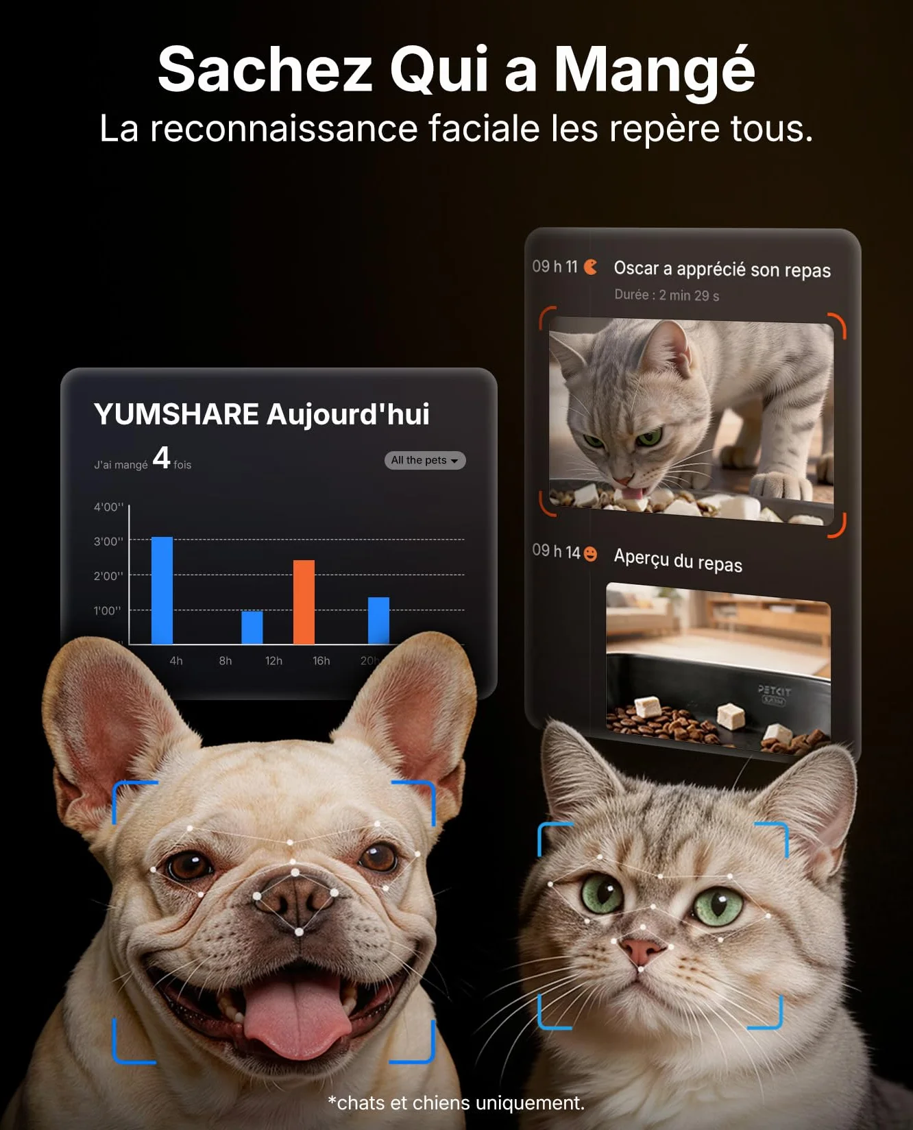 PETKIT YumShare Dual-Hopper 2 Distributeur Automatique de Croquettes pour Chat avec Caméra HD 1080P, Reconnaissance faciale, Vision Nocturne, Wi-Fi 2.4G&5GHz, 5L
