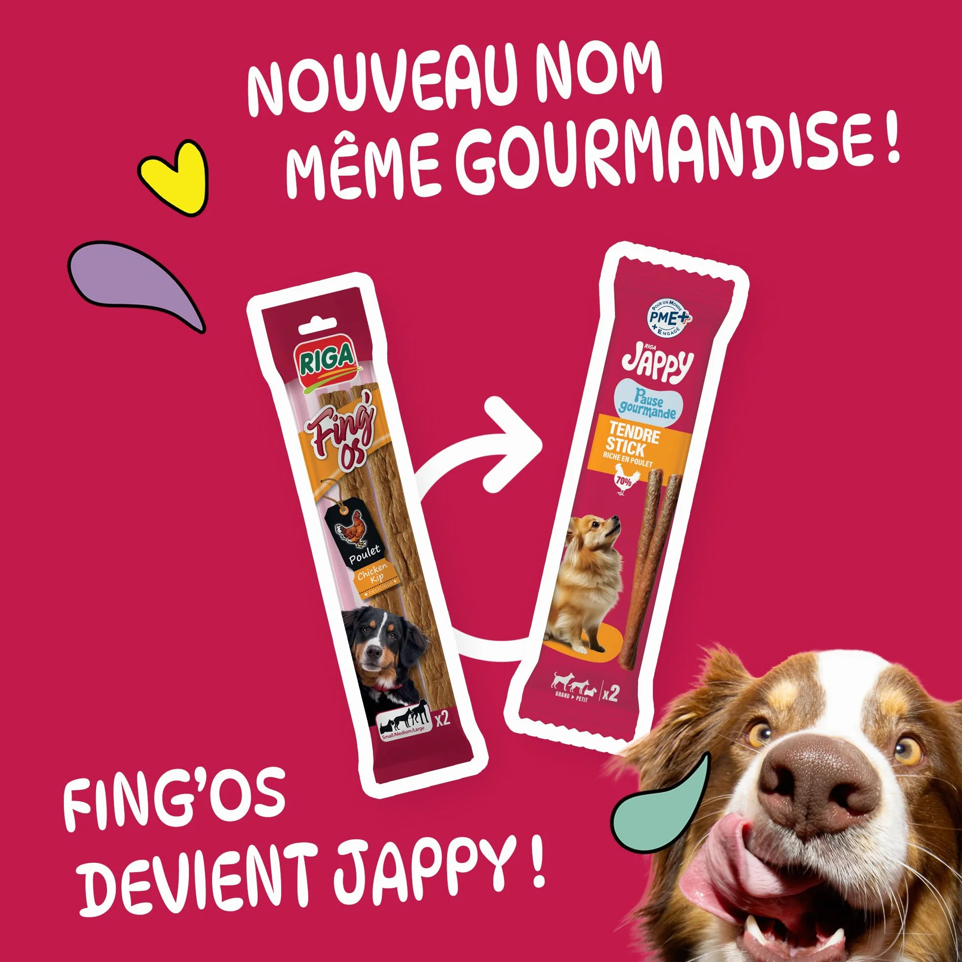 Jappy Tendre Stick Canard Friandise Chien Riche en Canard sans Sucre Ajouté 1 x 12g
