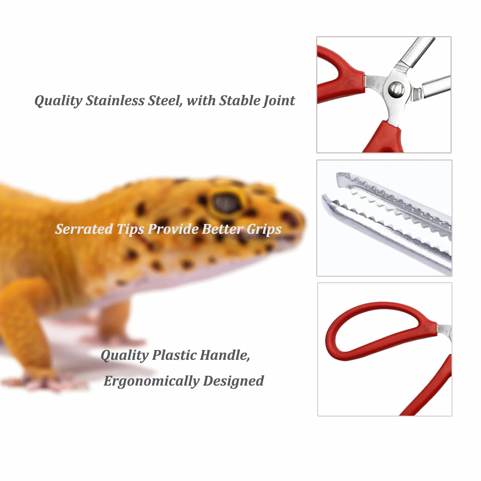 Pince d'alimentation pour reptiles en acier inoxydable à long manche antidérapante