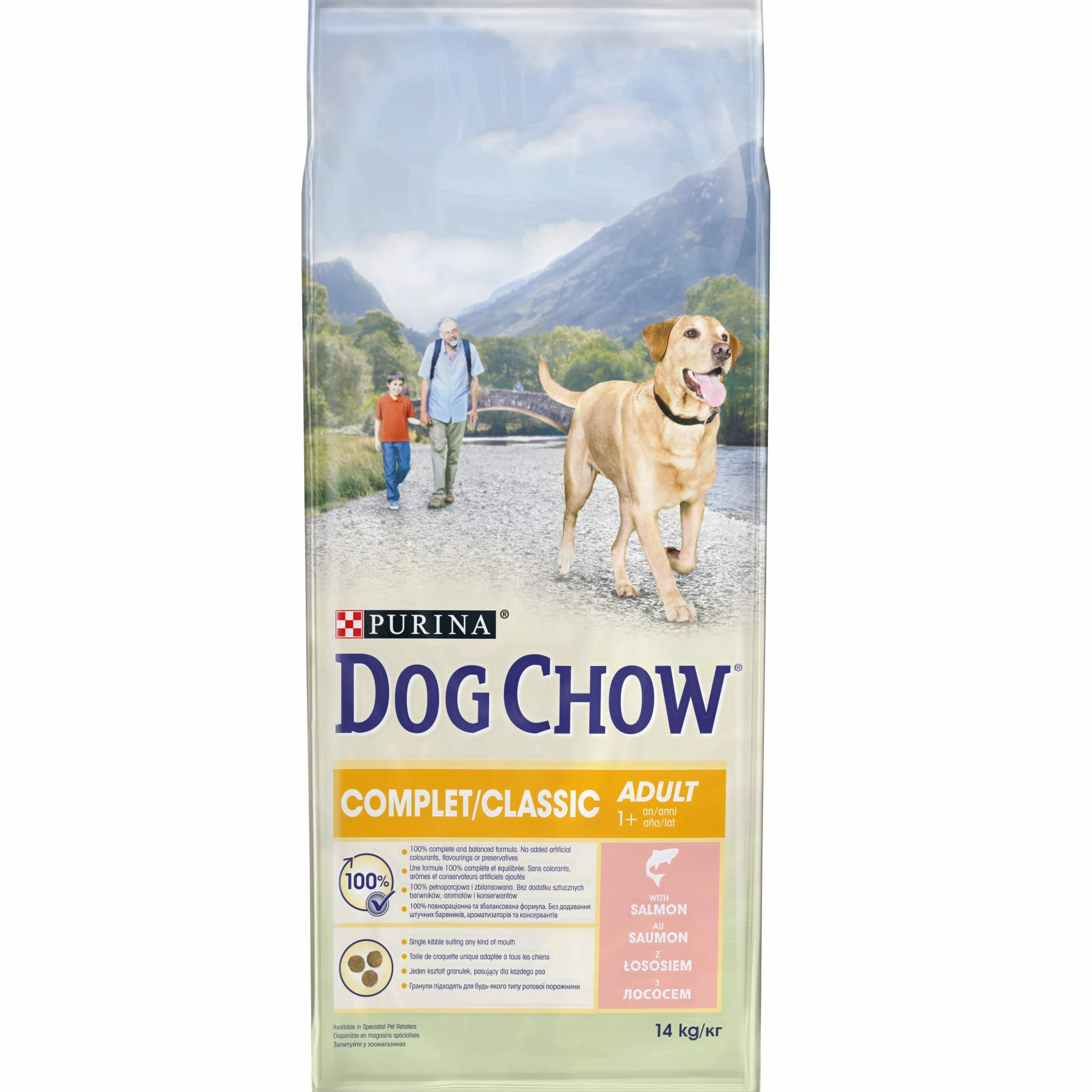 DOG CHOW Aliment Complet Chien Adulte Croquettes au Saumon 14 kg