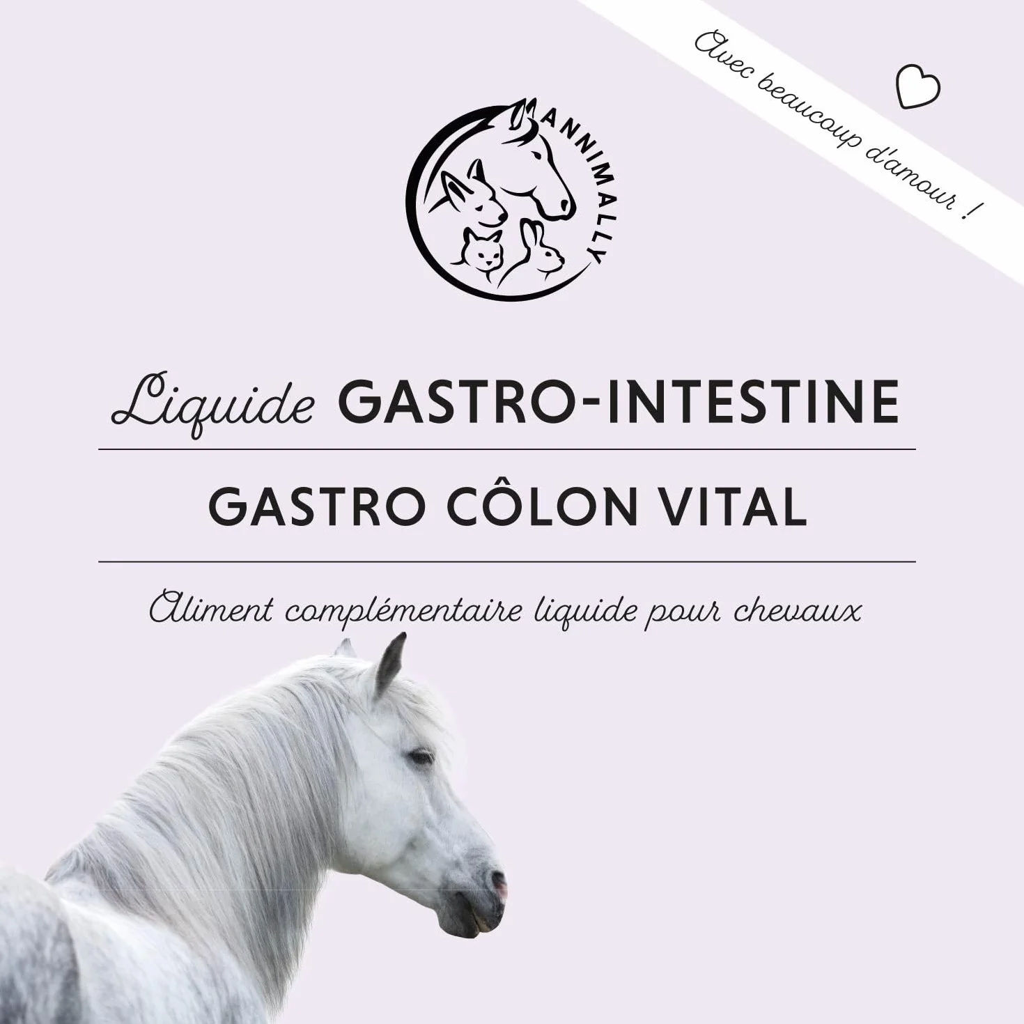 Annimally Liquide Gastro-Intestinal pour Chevaux 1000 ML - Soutien Digestion Diarrhée Herbes Naturelles