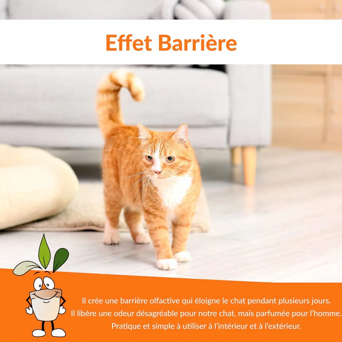 Désodorisant pour Chats 750 ML Spray Répulsif Végétal à Base de Thym Dissuasif pour Chats Intérieurs Extérieurs