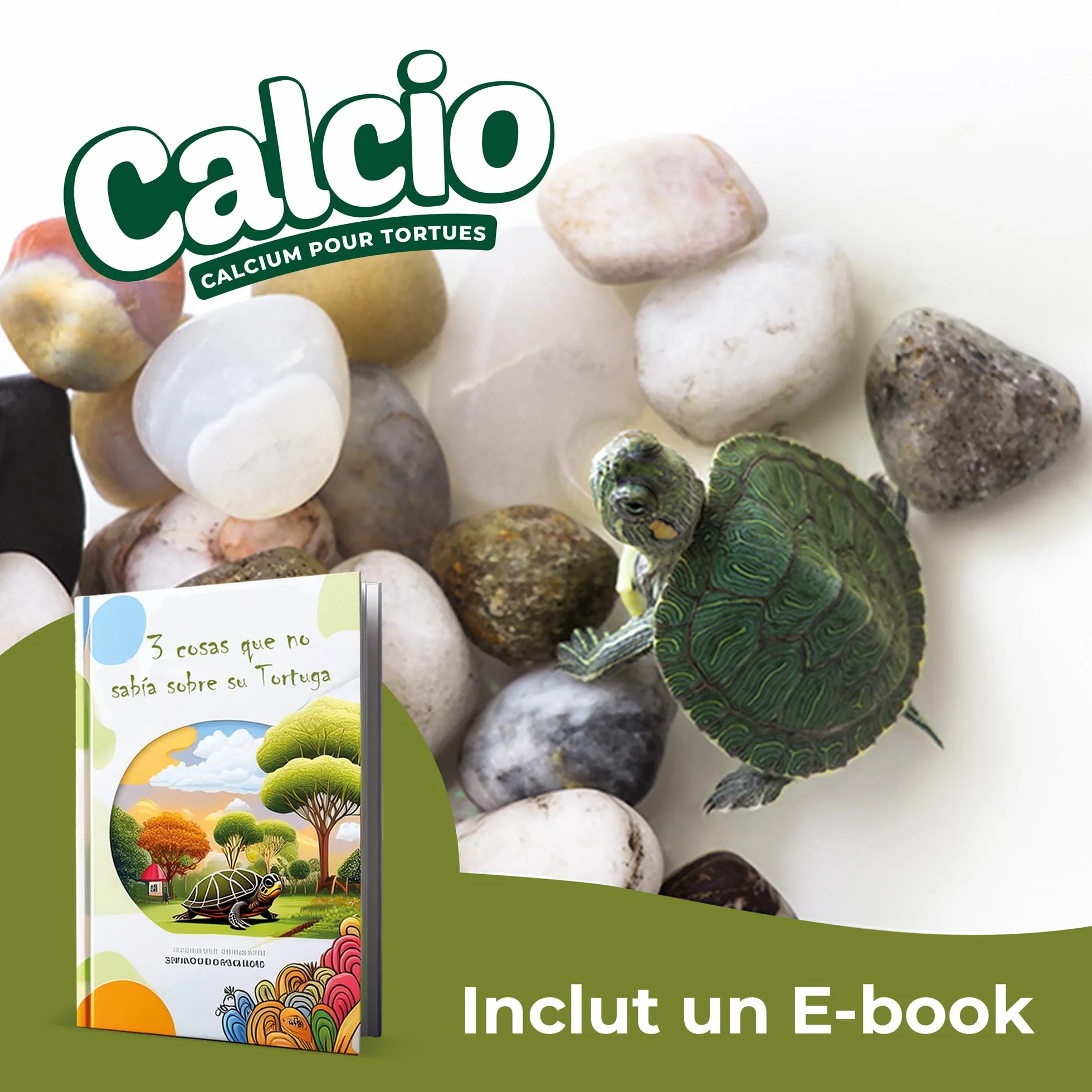 AF Os de Seiche Tortue Alternatif, Pack 8 Pièces Calcium Tortue Terrestre et Aquatique, Bloc Minéral Libération Lente