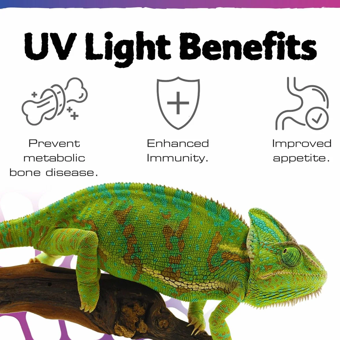 Exo Terra TerraSky Spot LED UVB 3 W terrarium