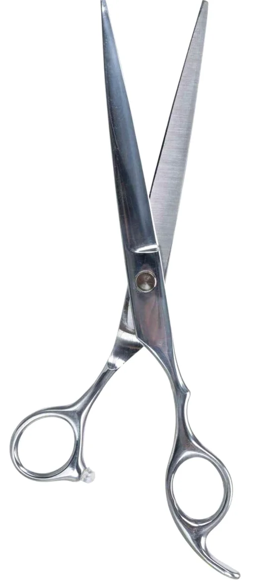 TRIXIE 23690 Ciseaux Professionnels en Acier Inoxydable 20 cm