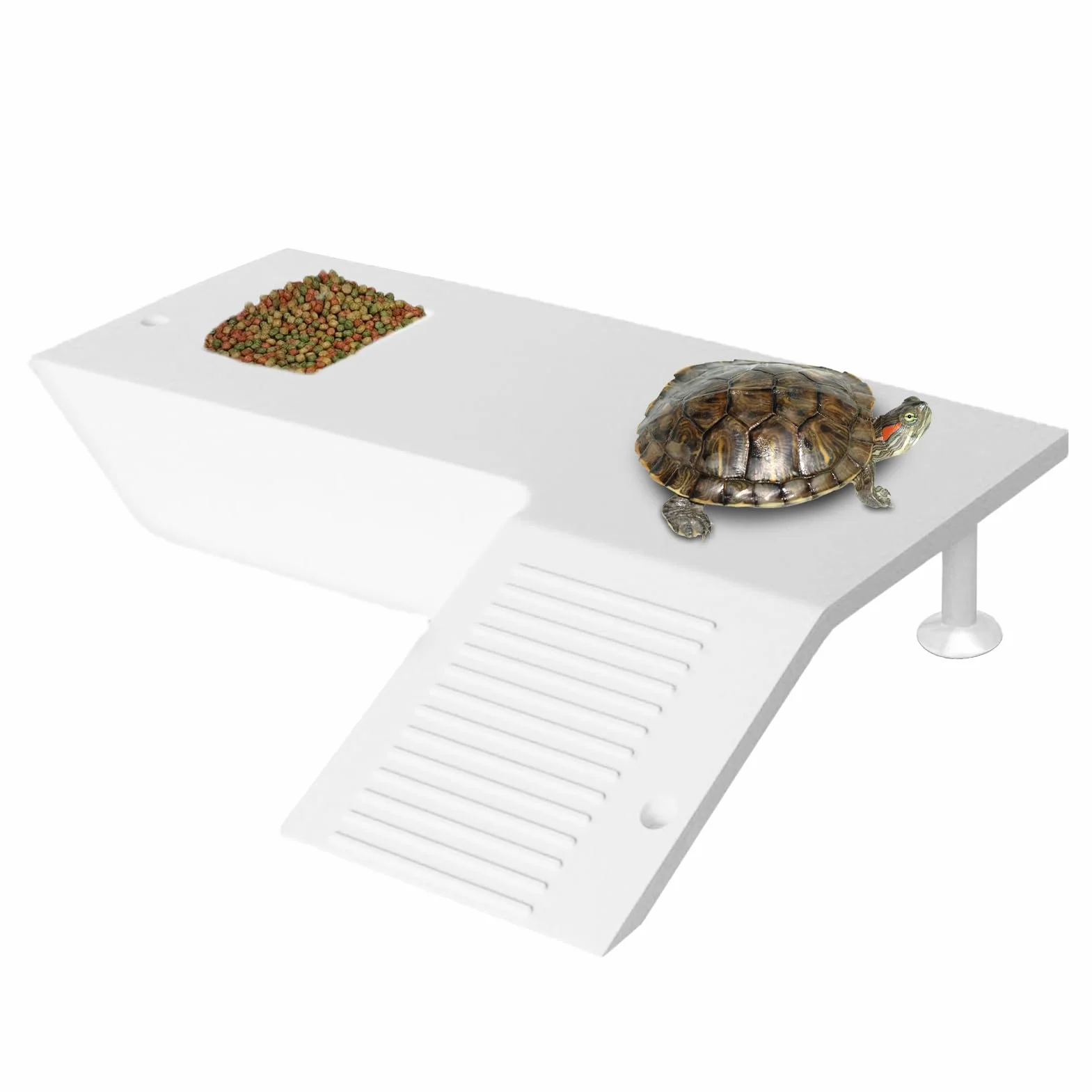 Terrasse pour Reptiles avec Scène d'Escalade Stable, Plateforme de Repos pour Tortues