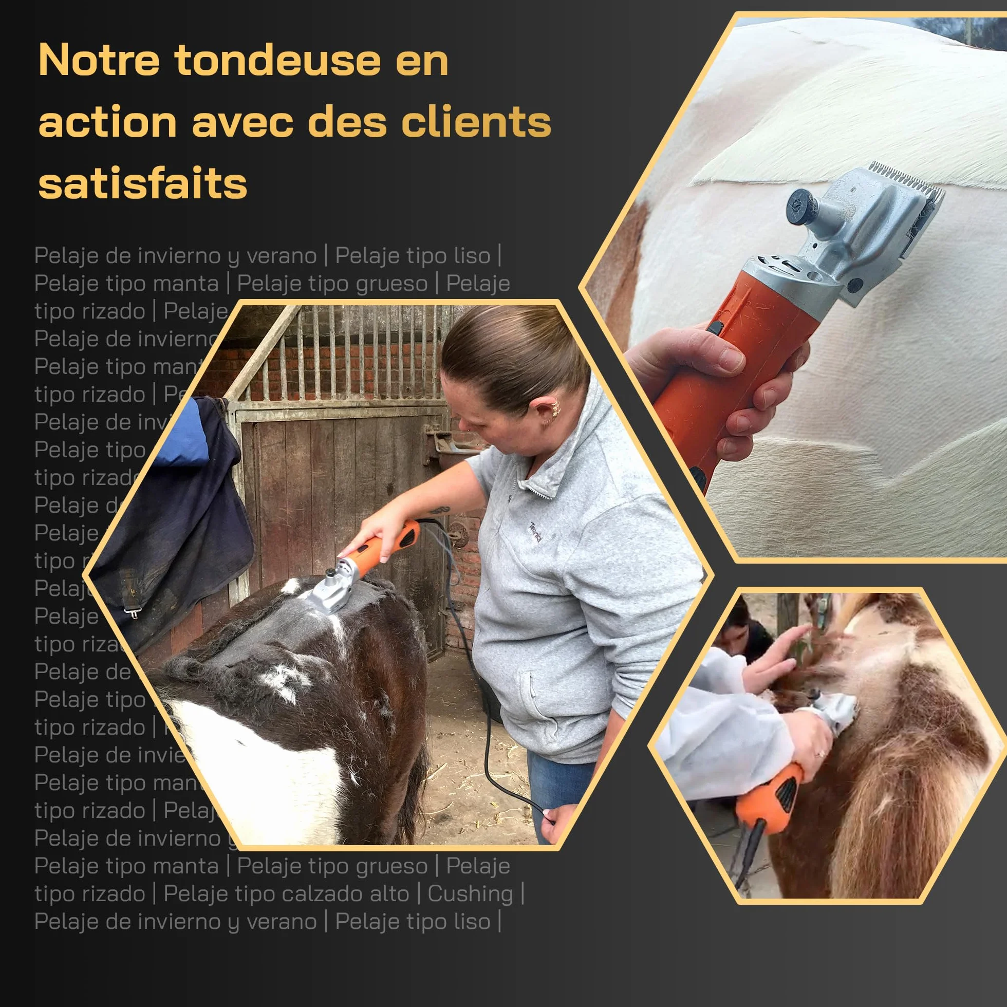 Tondeuse pour Chevaux Silencieuse Faibles Vibrations Lames Interchangeables
