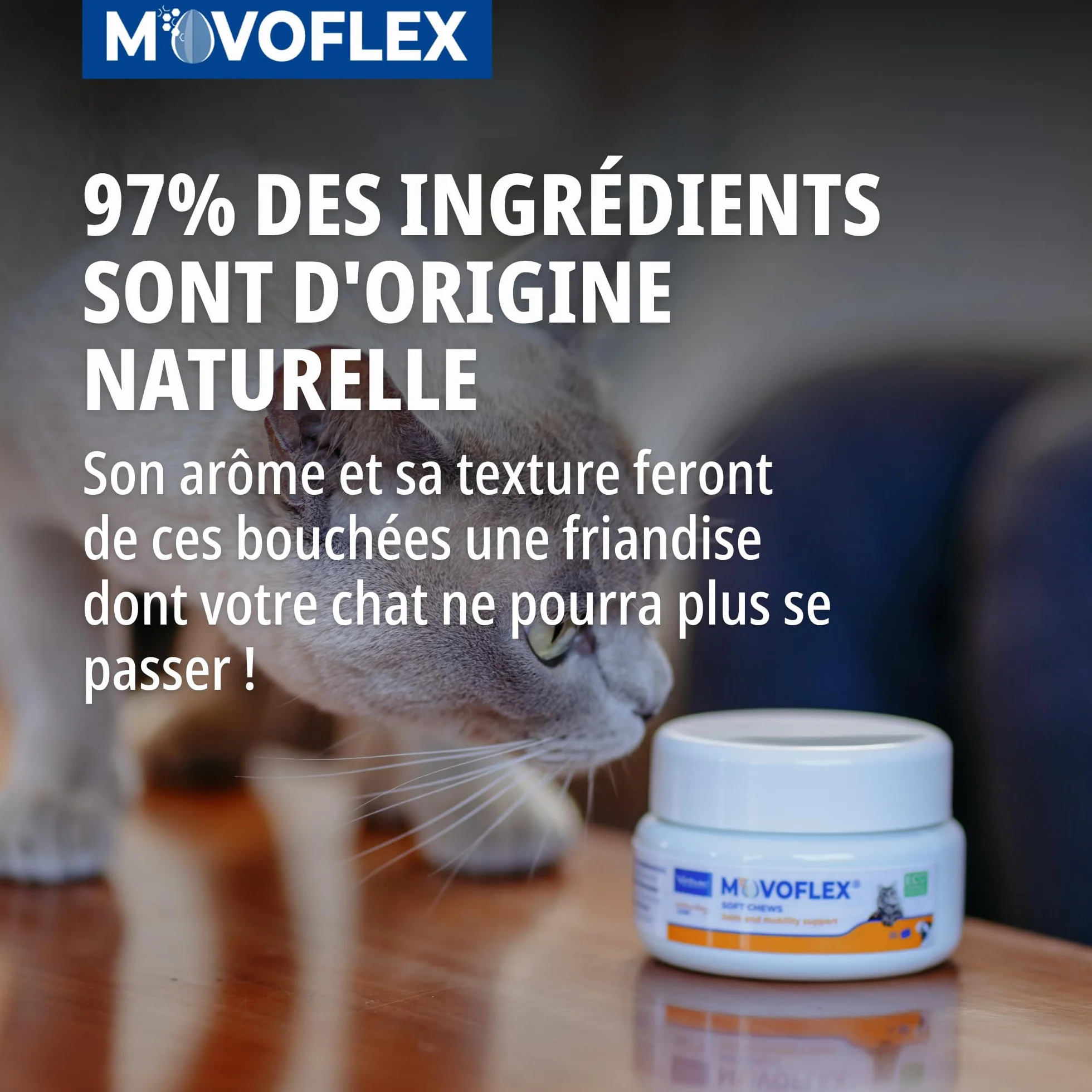 Virbac Movoflex Chat Aliment complémentaire Soutien articulations mobilité Boîte 30 bouchées
