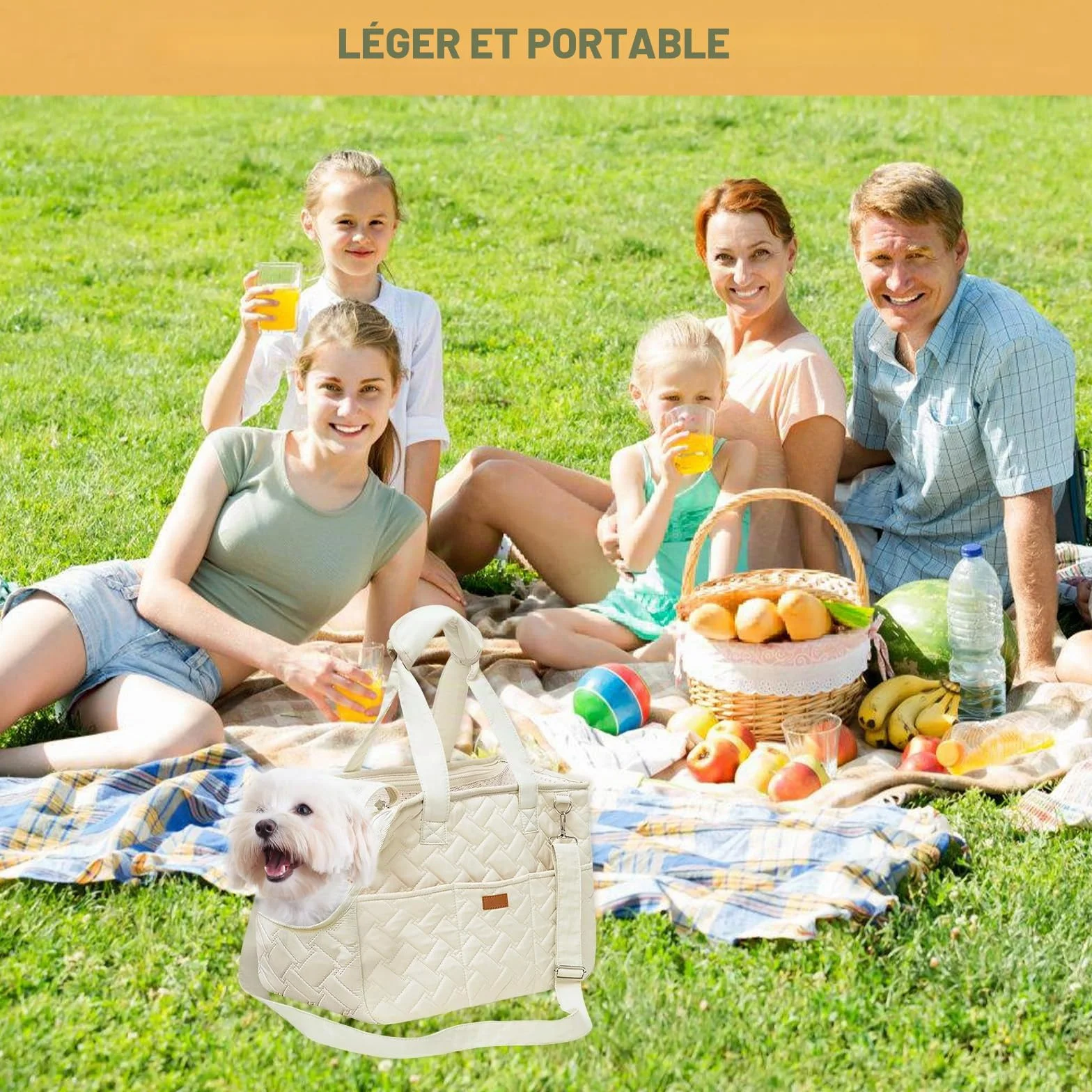 Sac de transport pour chiens jusqu'à 5 kg – Sac de transport pour petits chiens et chats, pliable, respirant, avec ceinture de sécurité, poches, sac de transport, idéal pour l'extérieur, les voyages