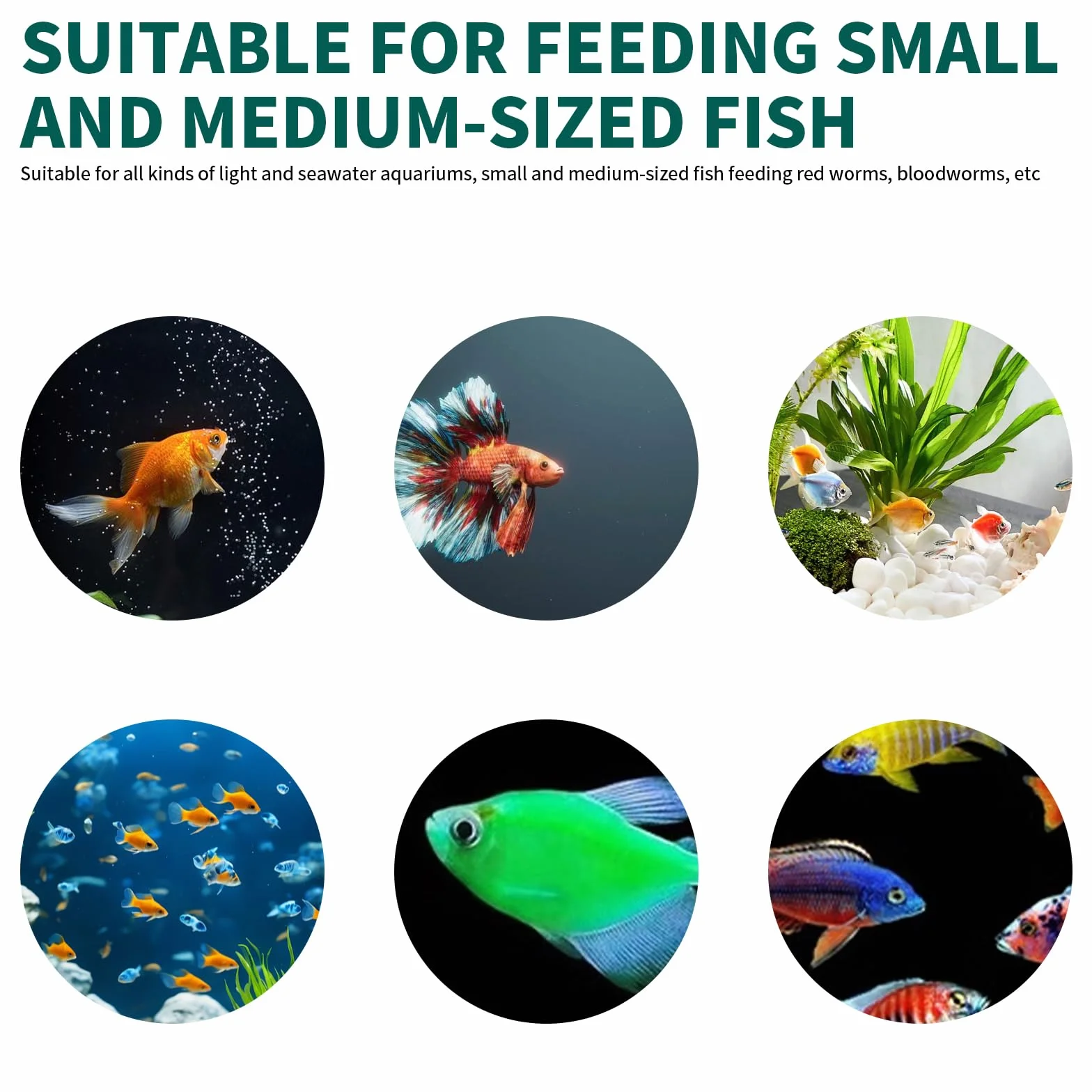 Lot de 10 Plante Aquarium Pots Holder avec Ventouses, Support en Acrylique Aquarium Cup Mini Fish Tank Decoration pour Plantes Accessoires Transparent
